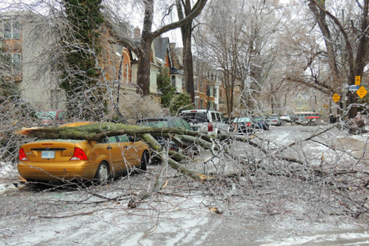 20 frozen photos of the ice storm aftermath in Toronto - 1200 x 800 jpeg 192kB