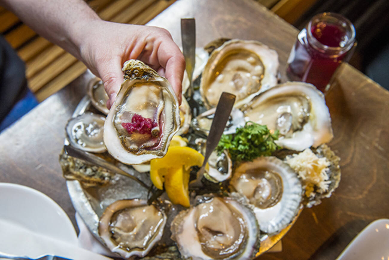 The Best Oysters in Toronto