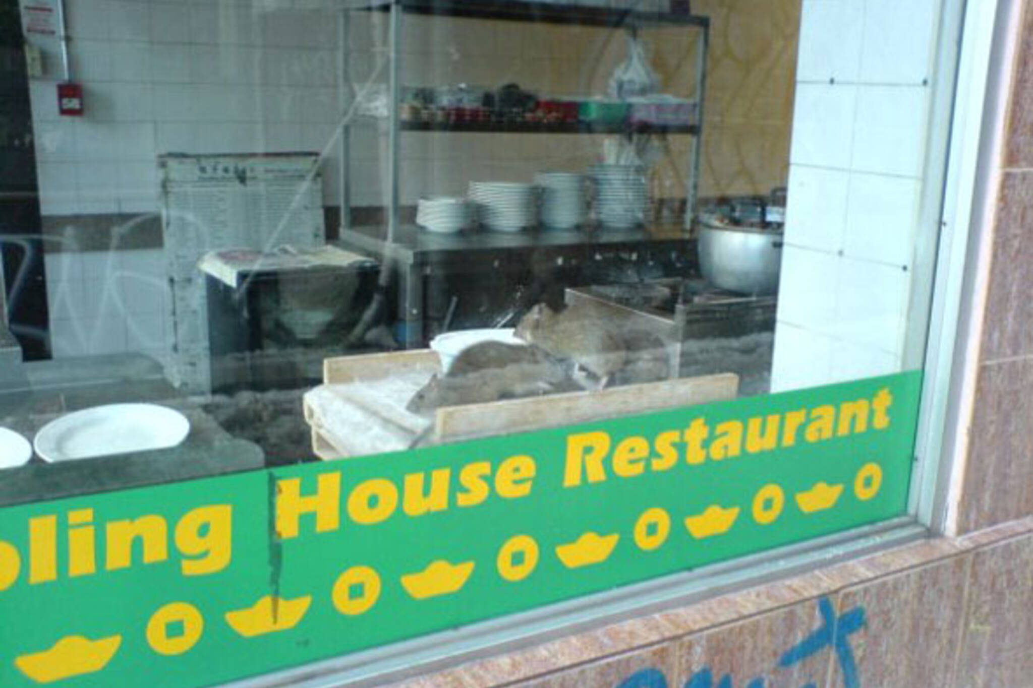 Dumpling House Rats
