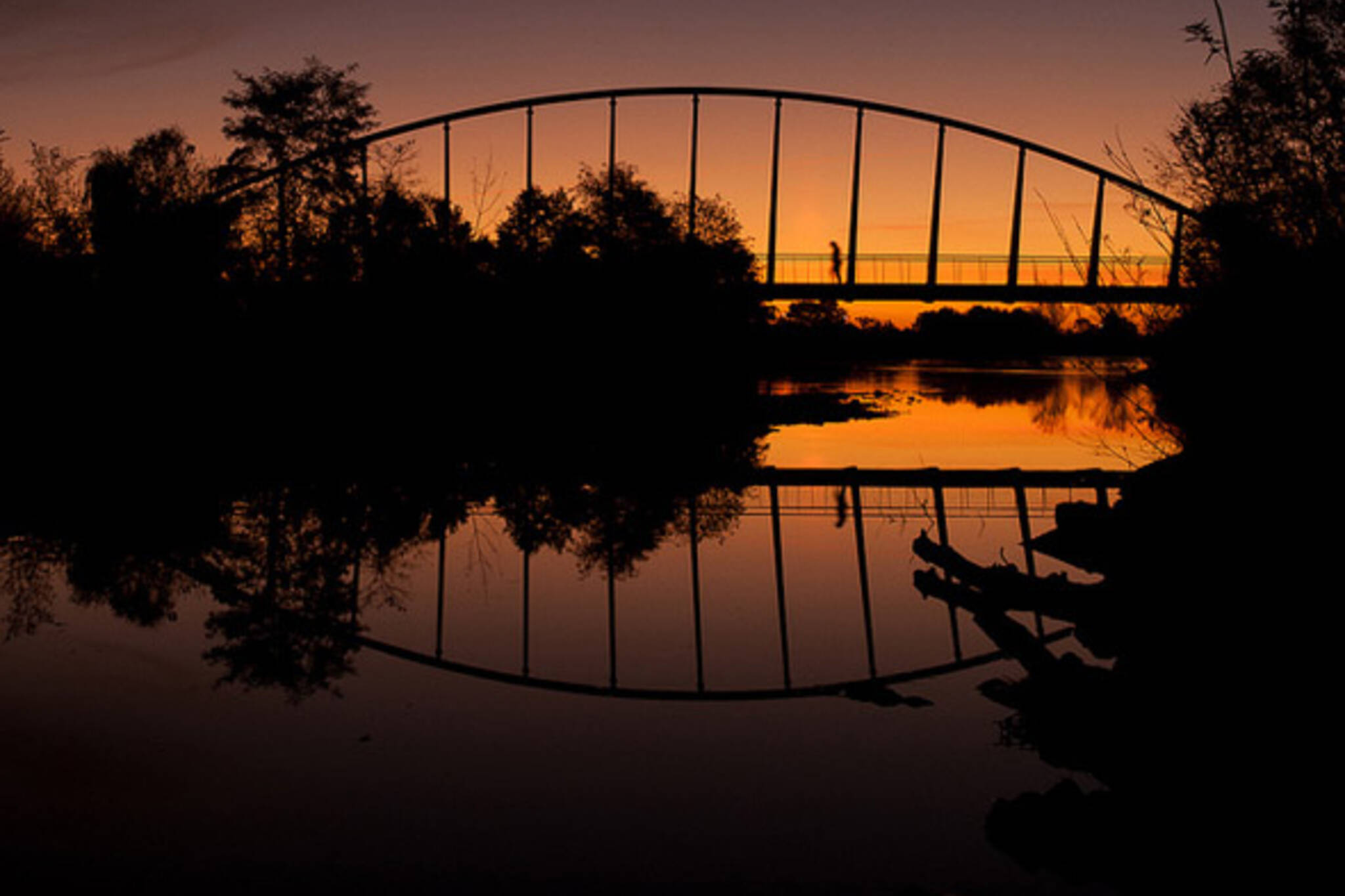 mimco, bridge, sunset