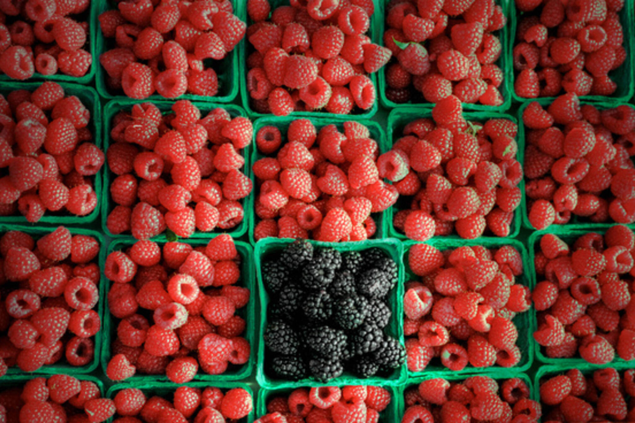 20100401-Raspberries.jpg