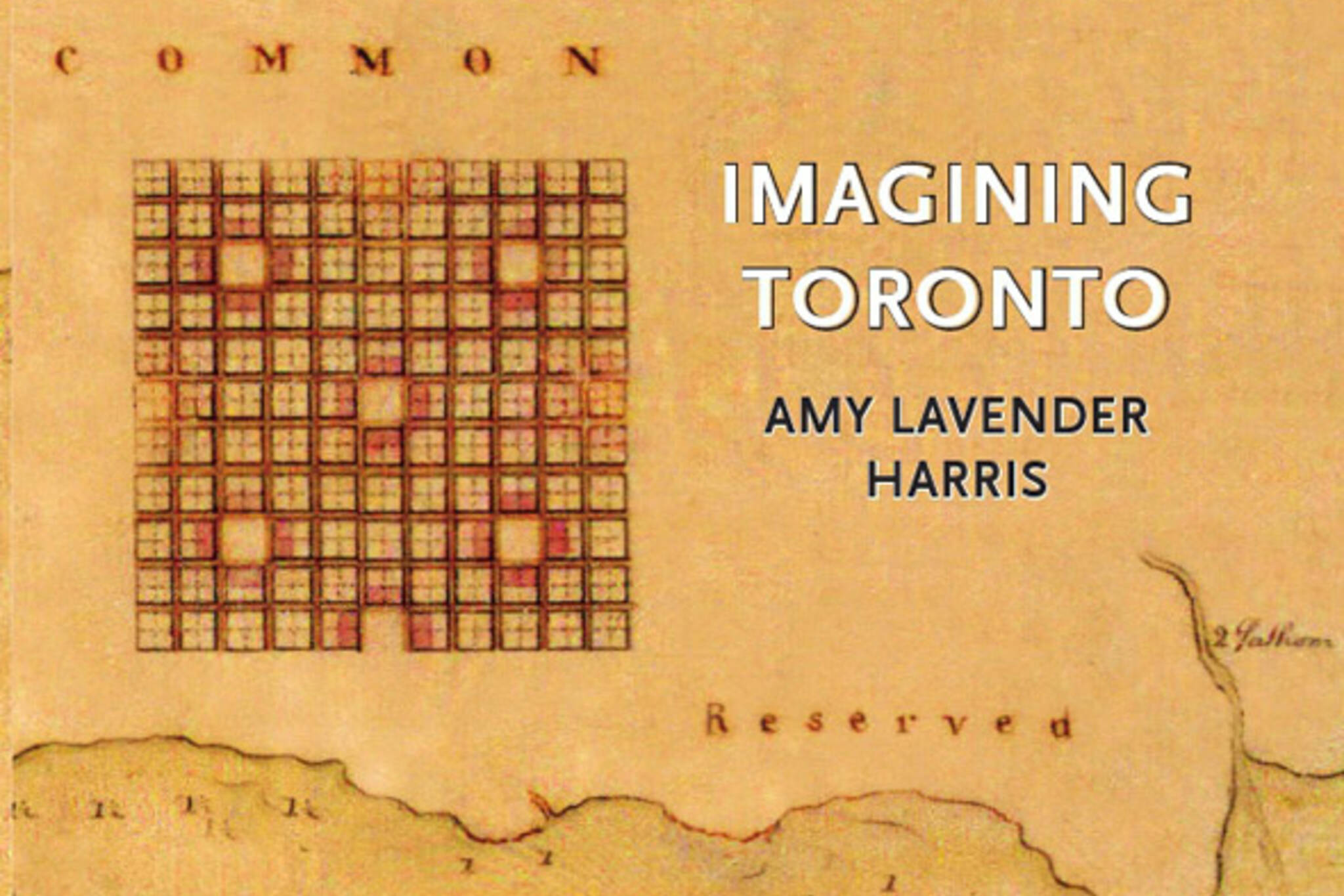 Imagining Toronto literature