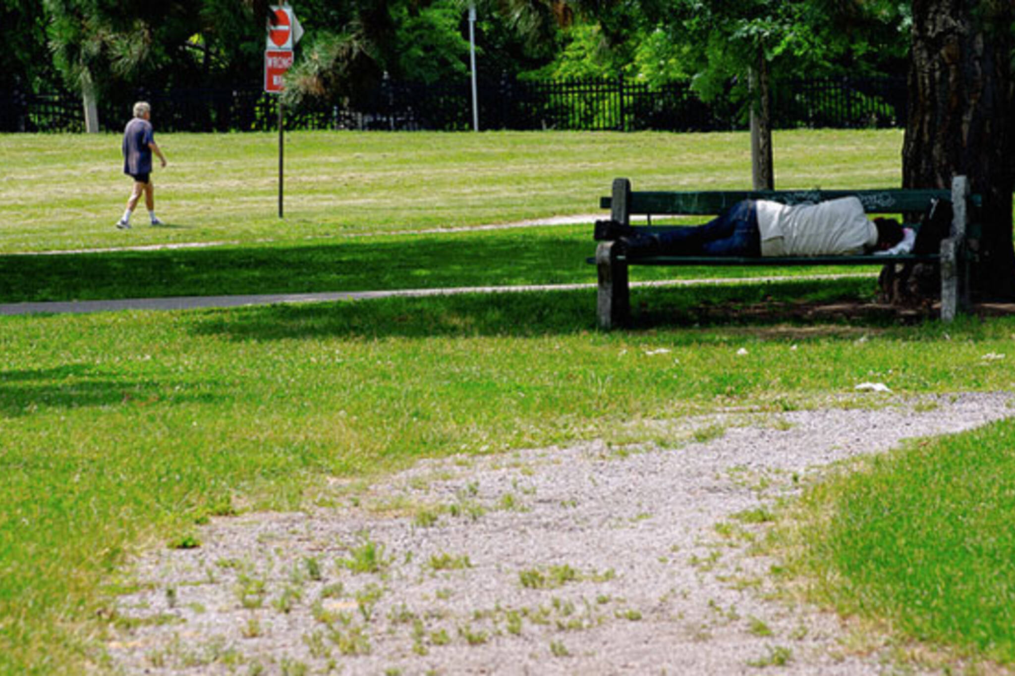 toronto sleeping in a park