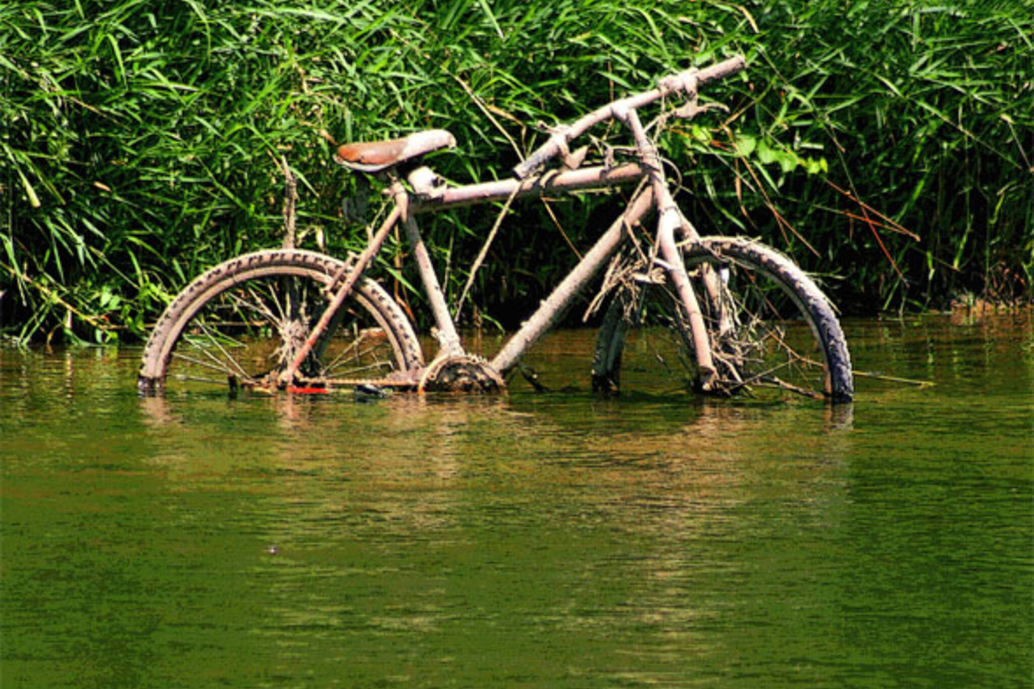 River bike. Велосипед у реки. Велосипед River Bike. Утопленный велосипед. Утопила велосипед.
