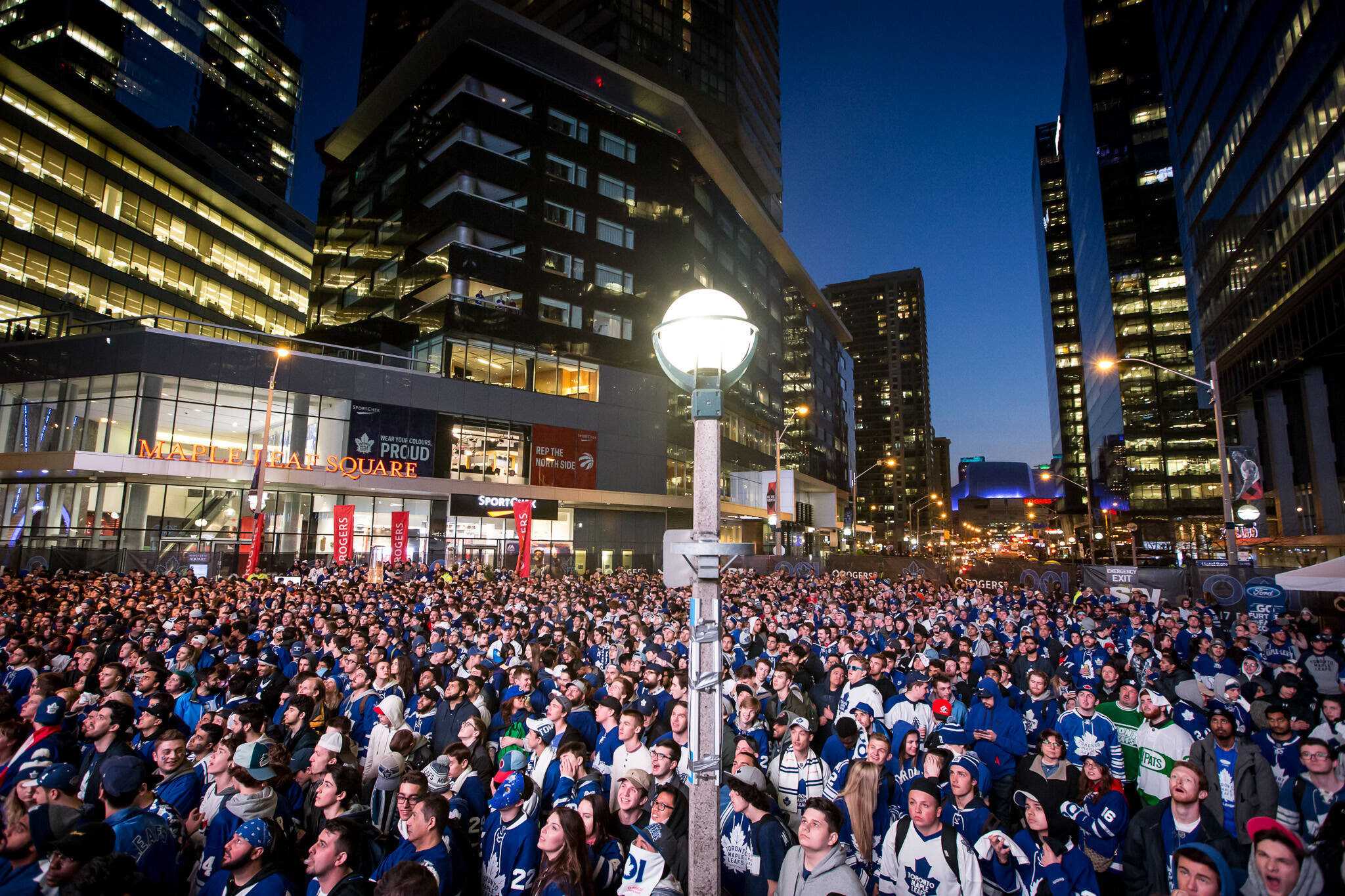Toronto sports fans go nuts as four major teams gear up to play at once