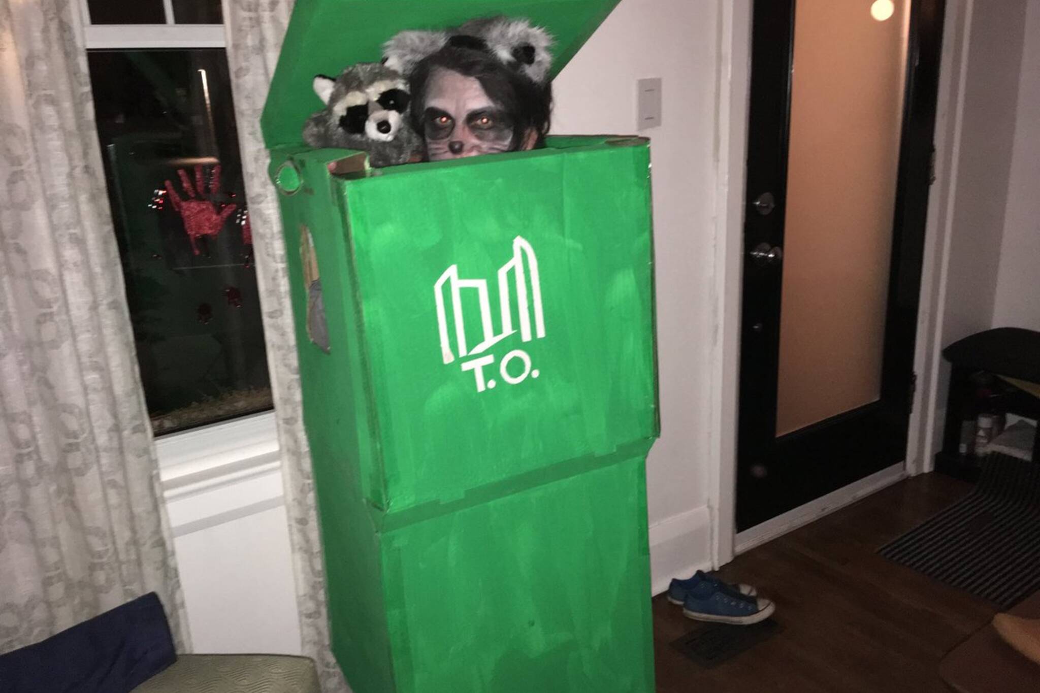 raccoon costume toronto