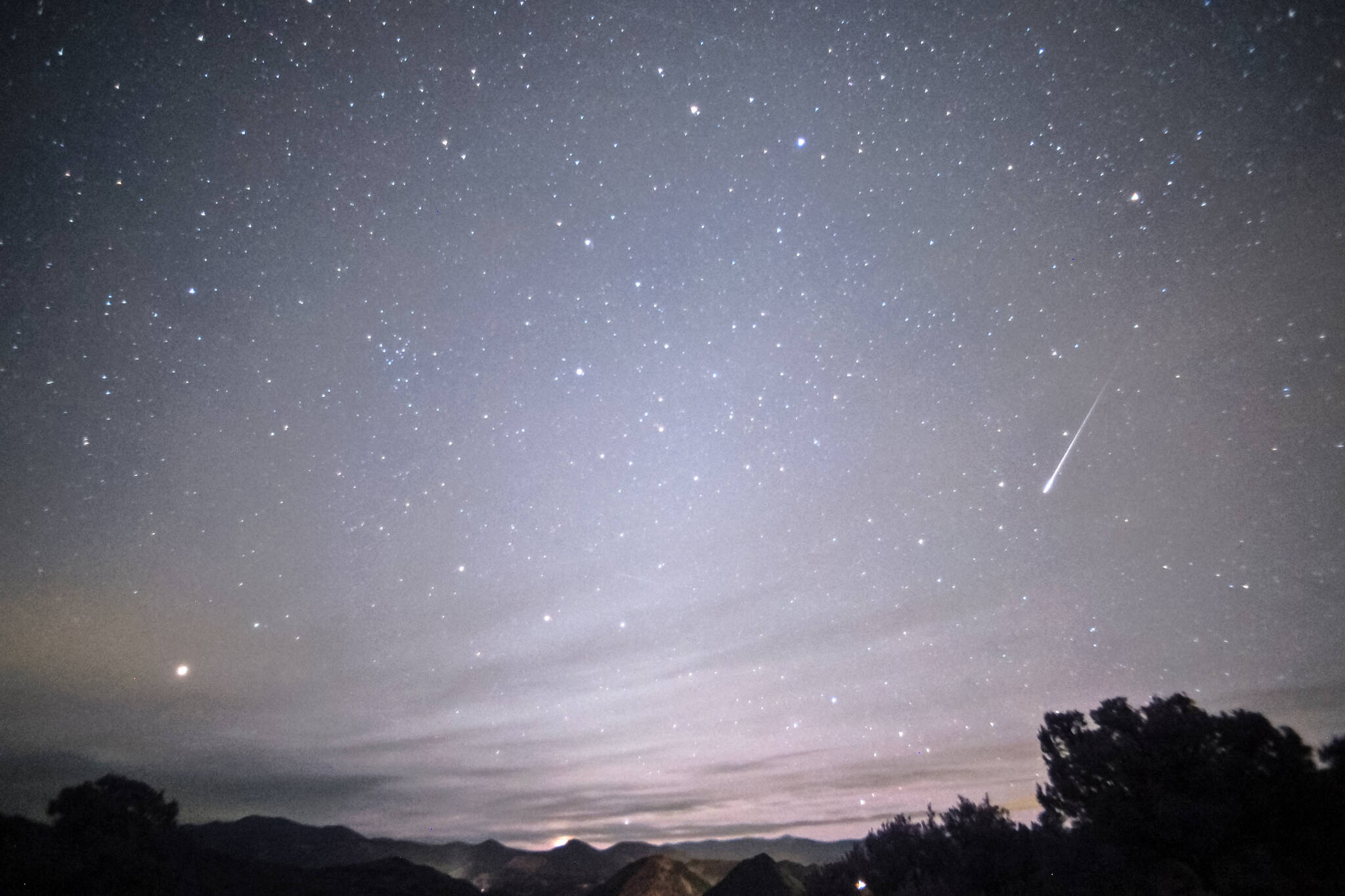 leonid meteor shower Toronto
