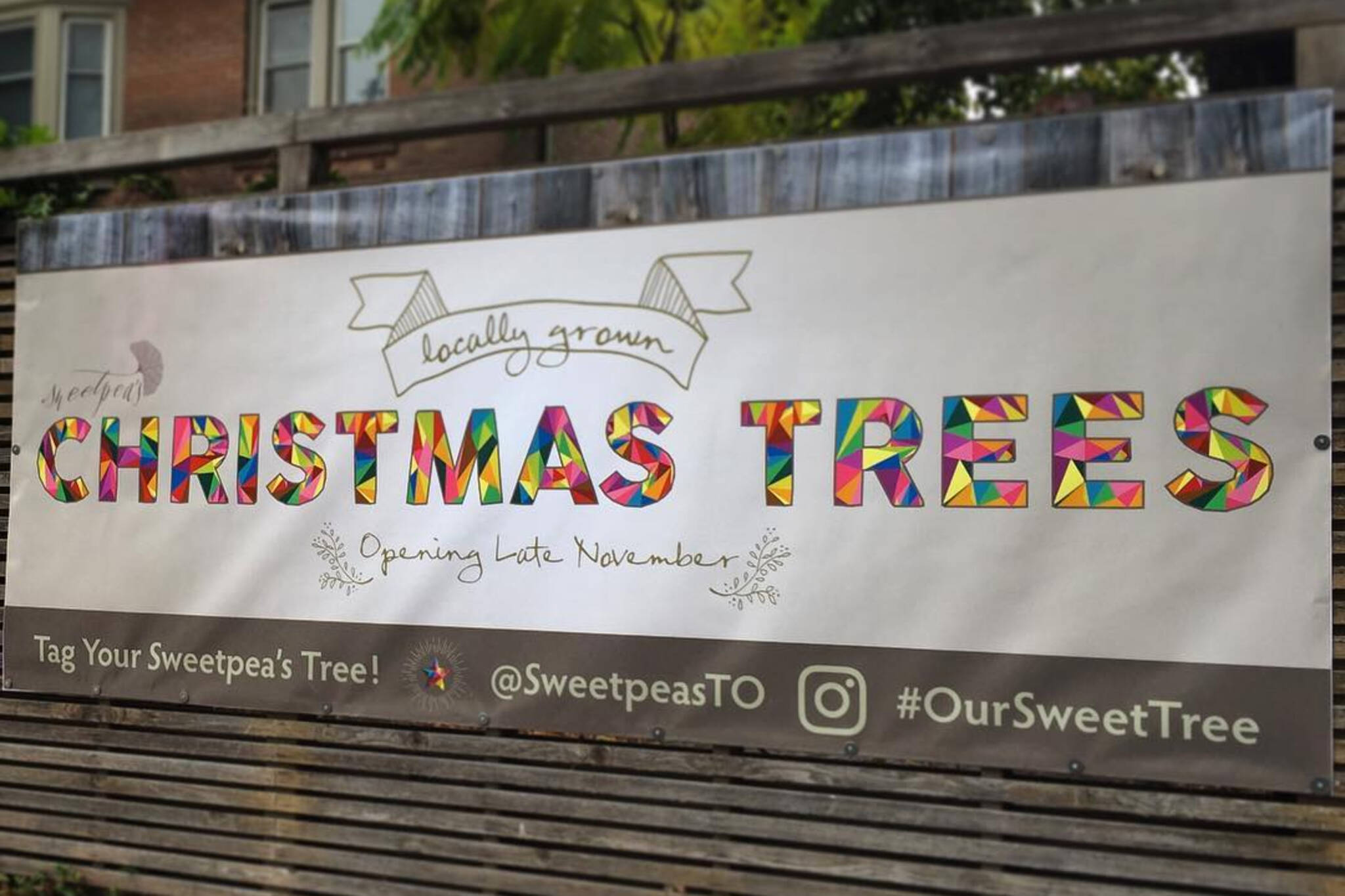 Sweetpea Christmas trees