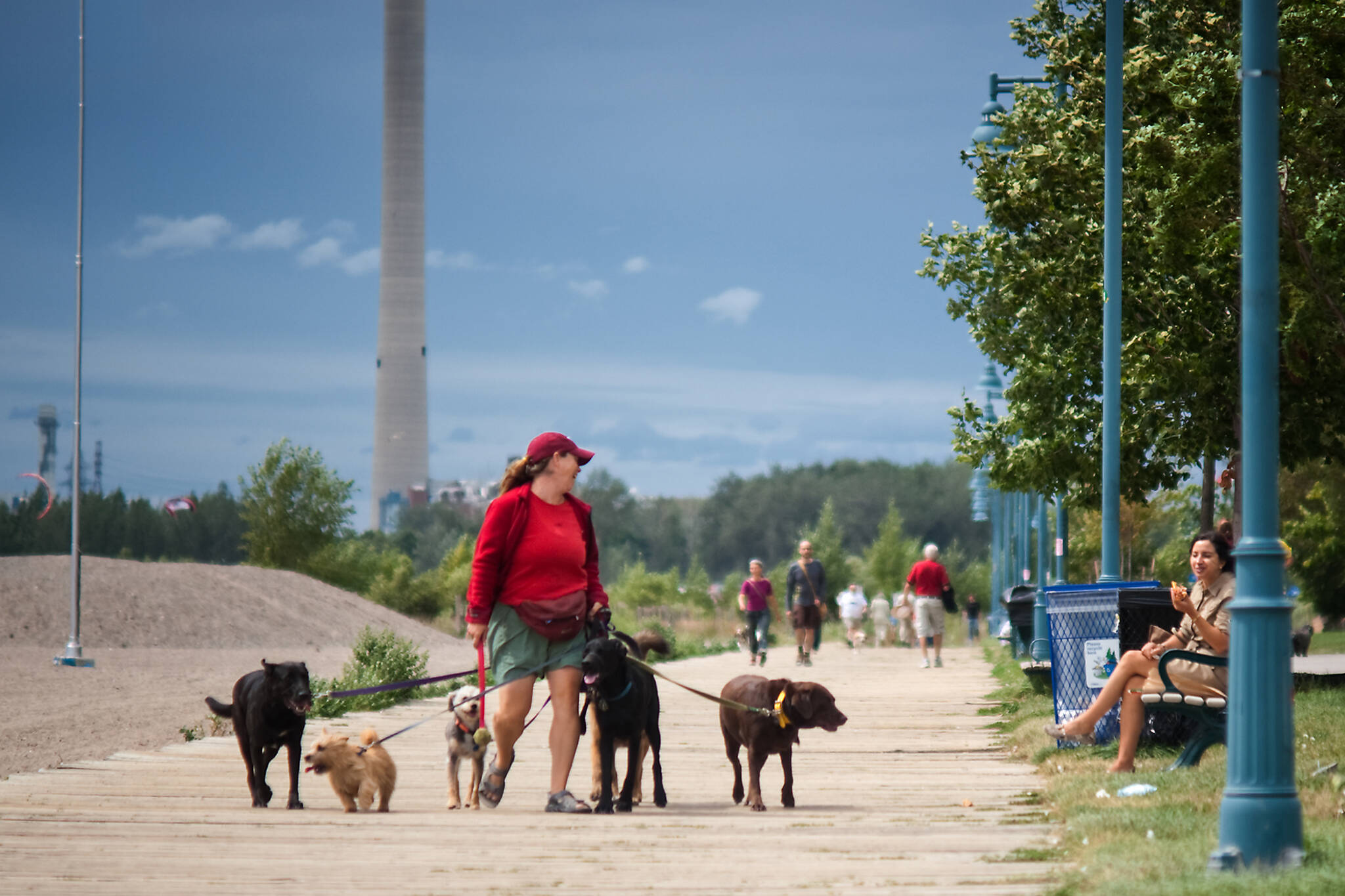 The Best Dog Walking Services in Toronto