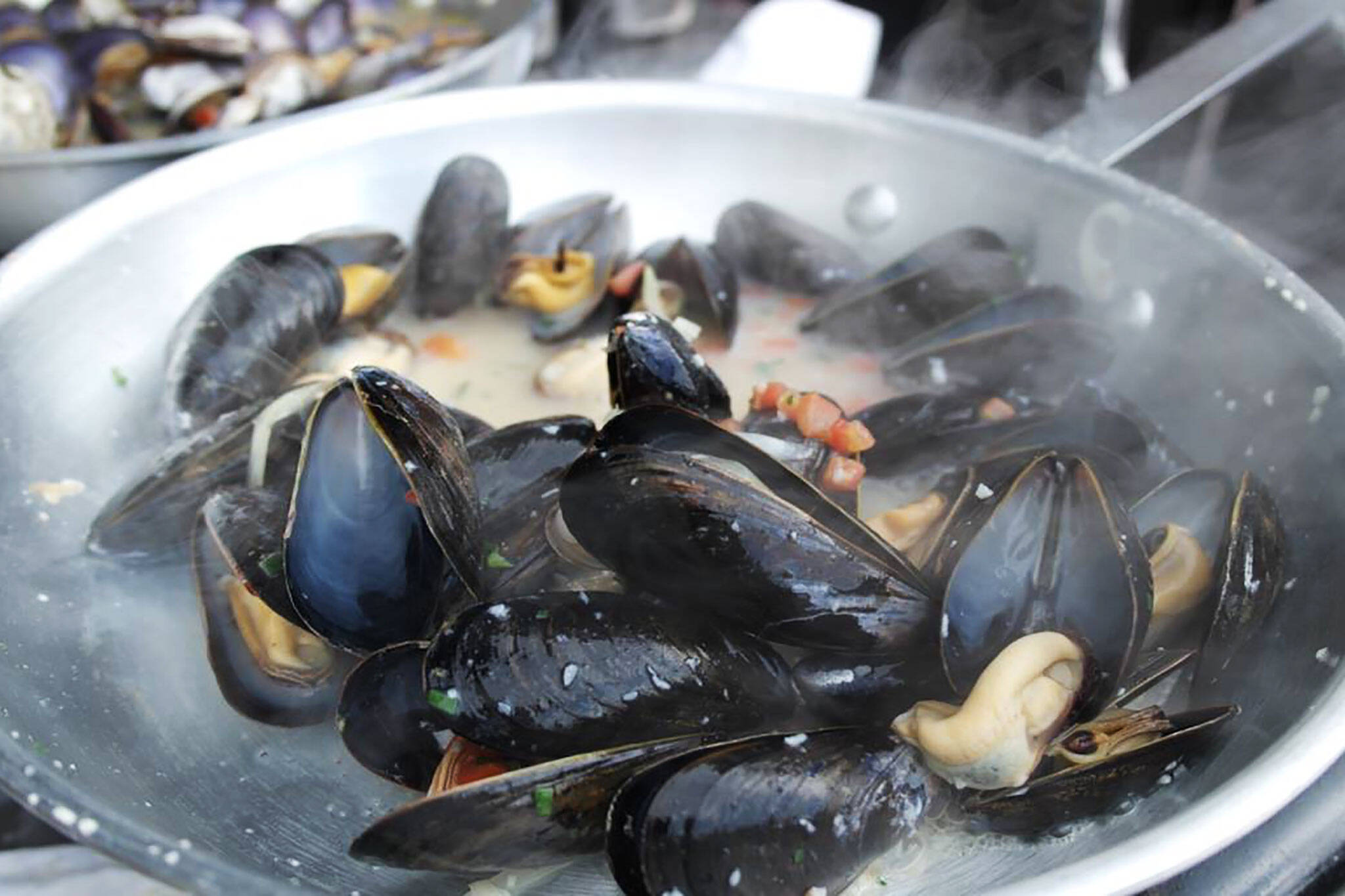 mussels toronto