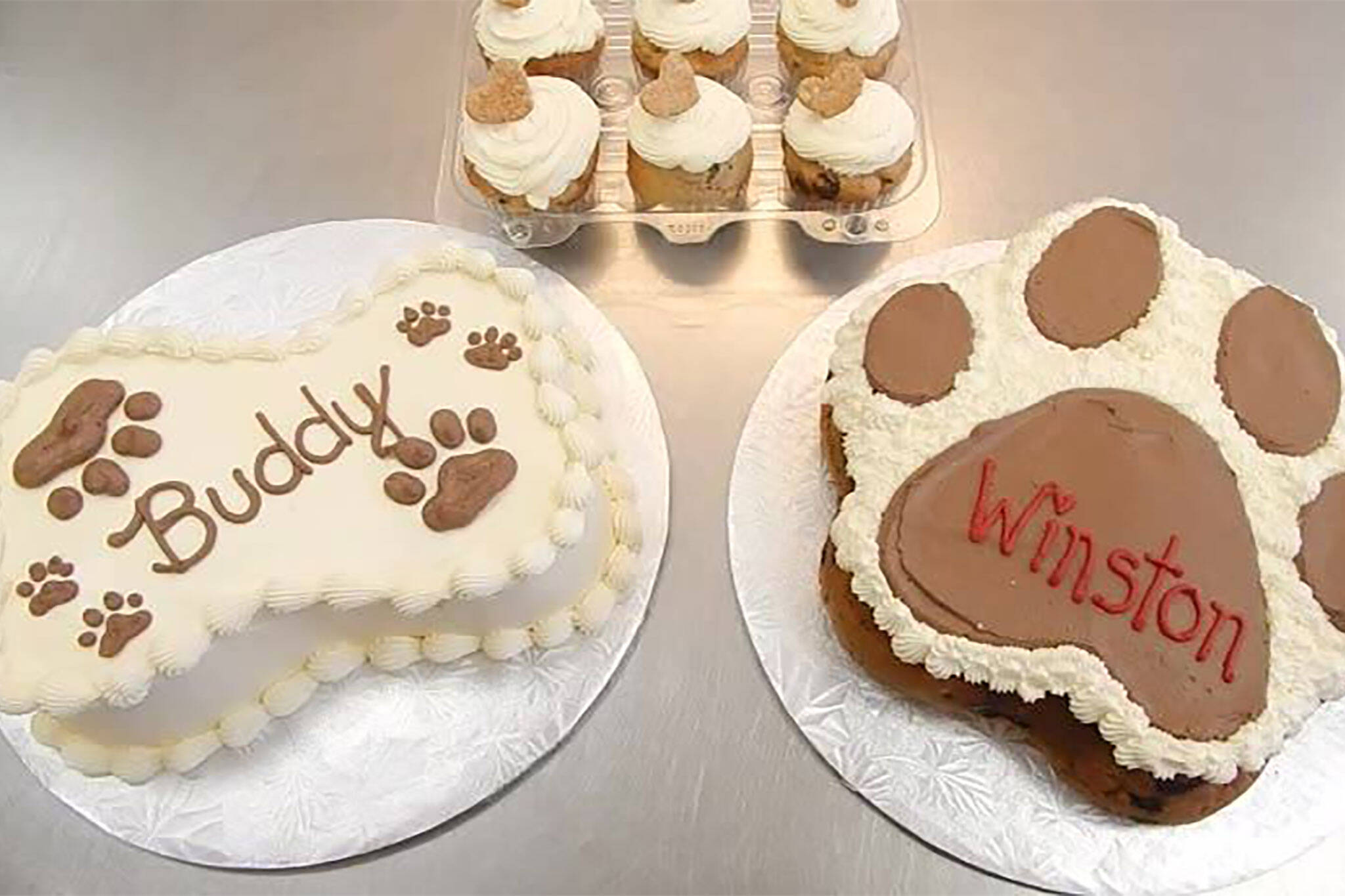Toronto can't stop buying cakes and cupcakes for their dogs