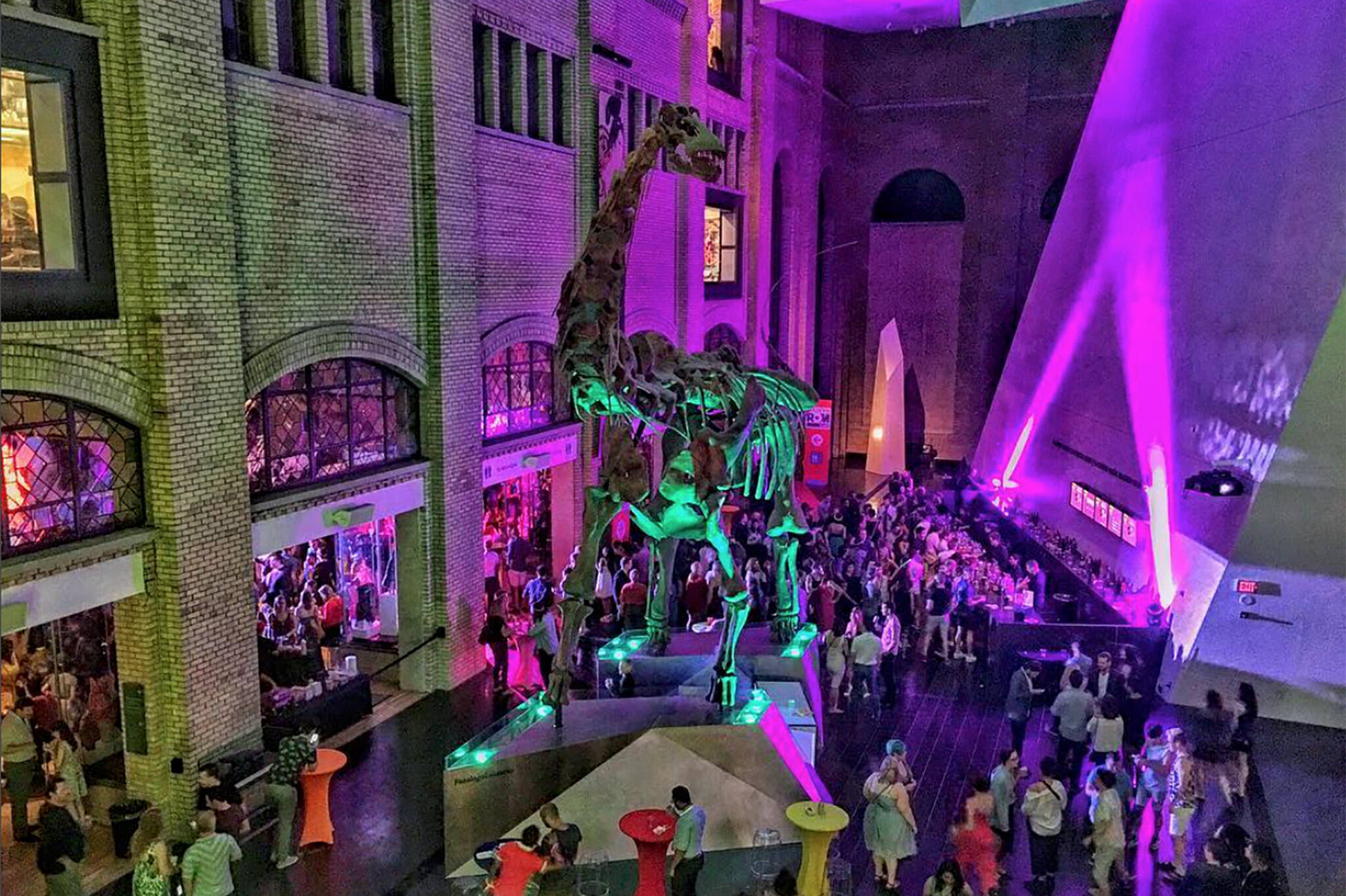 In and Around Toronto: Friday Night Live @ the ROM