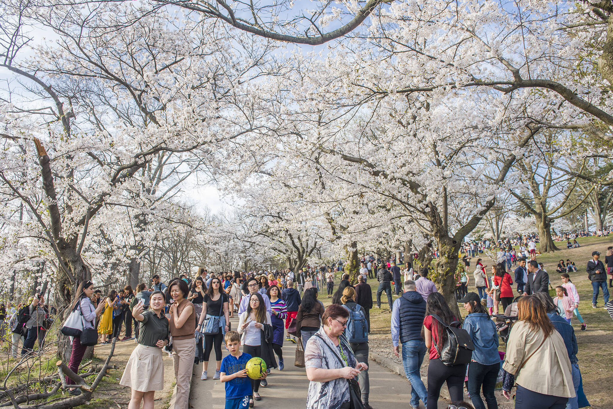 25 things to do this spring in Toronto