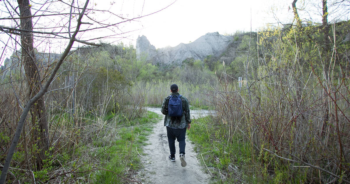 Unearthing Five Exhilarating Hikes In Toronto