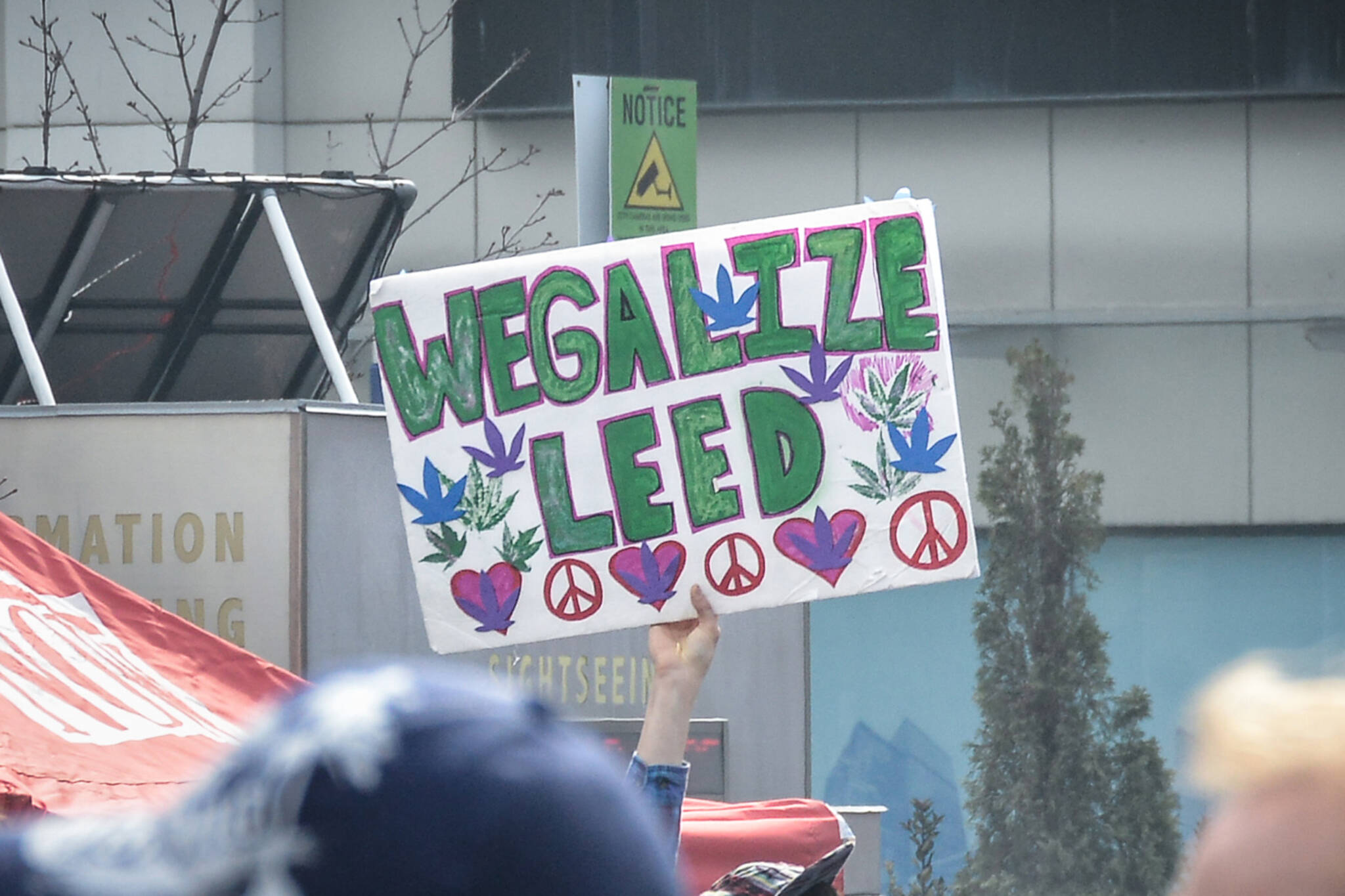 weed legalize canada