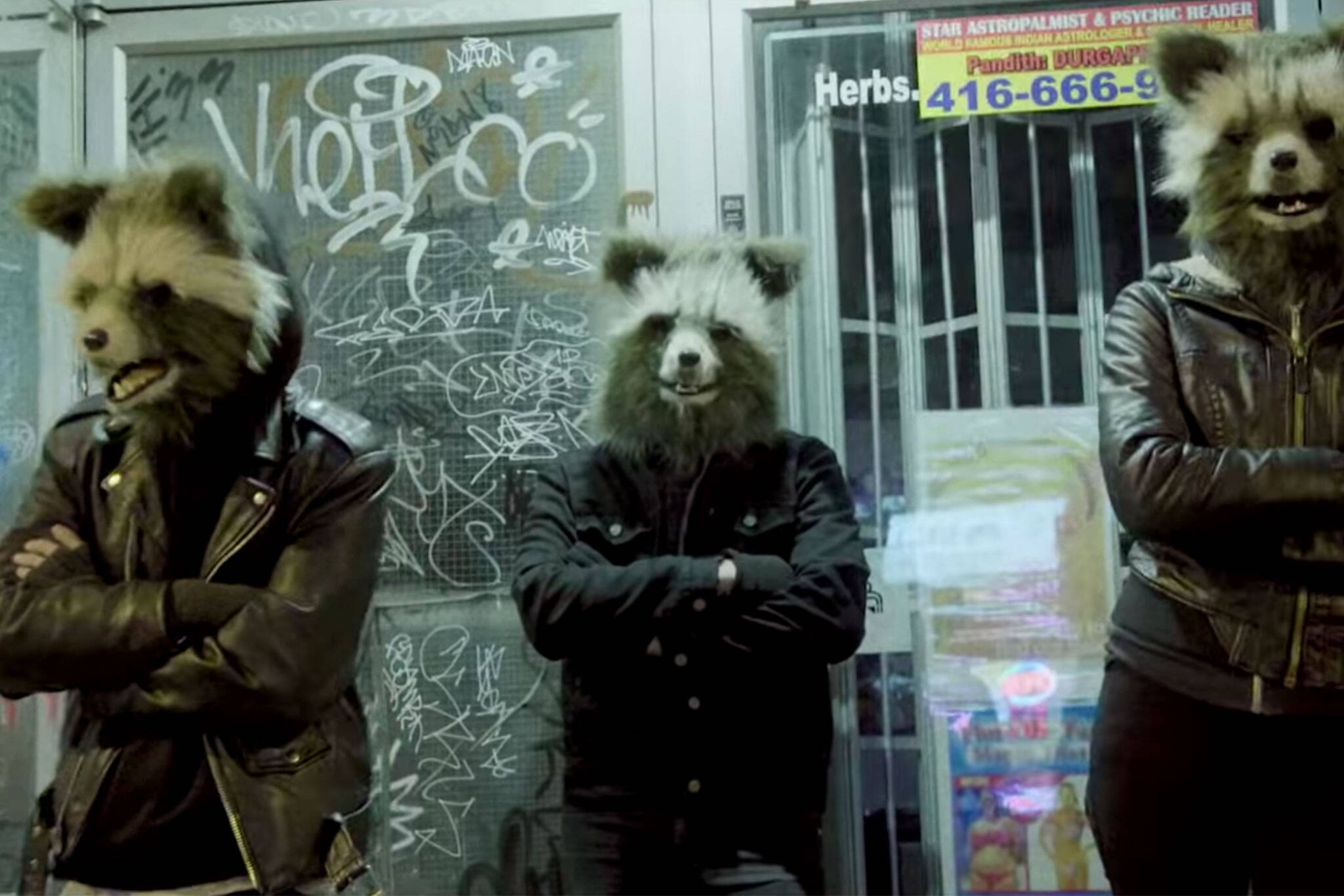 toronto raccoon music video