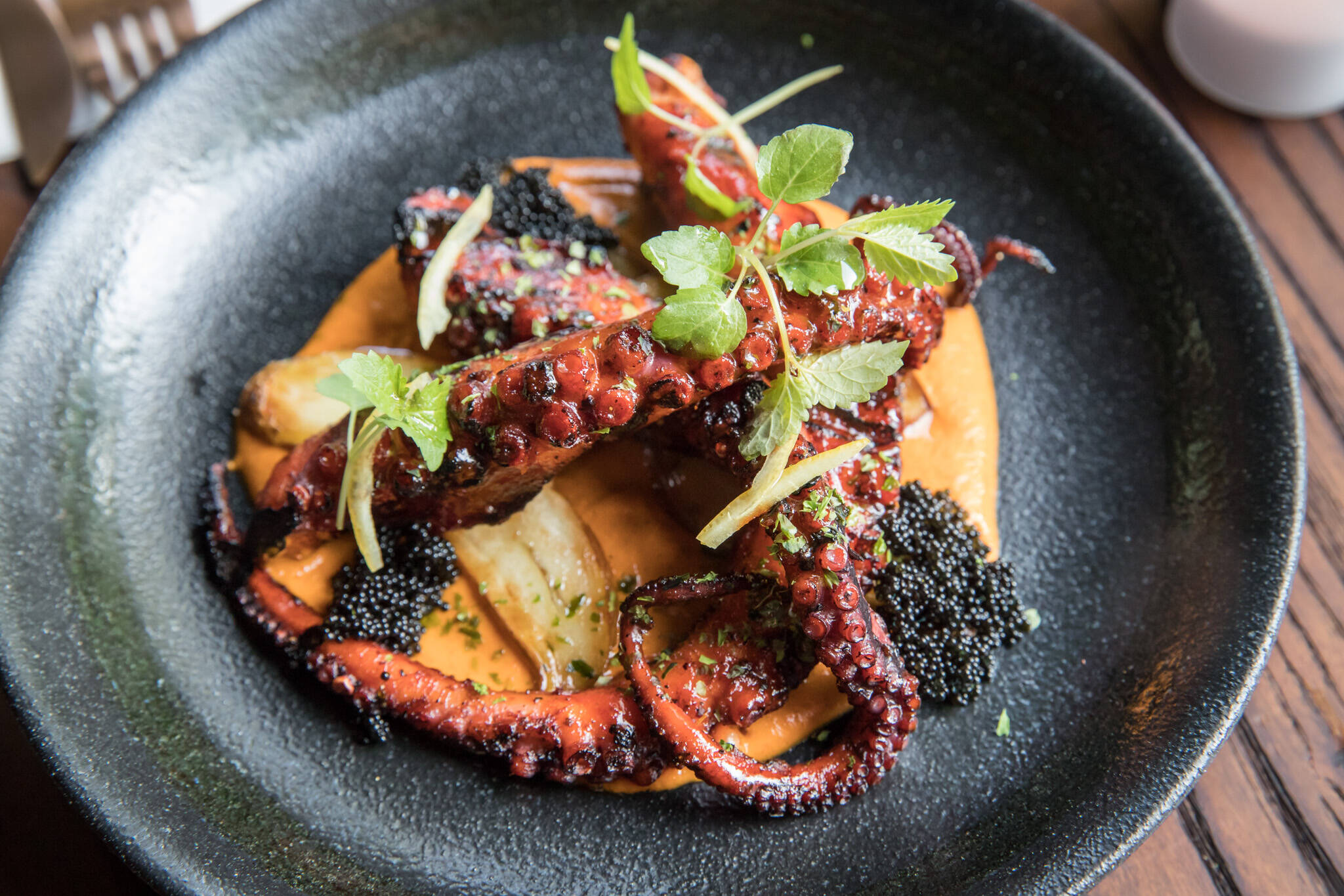The top 10 new restaurant openings in Toronto for July