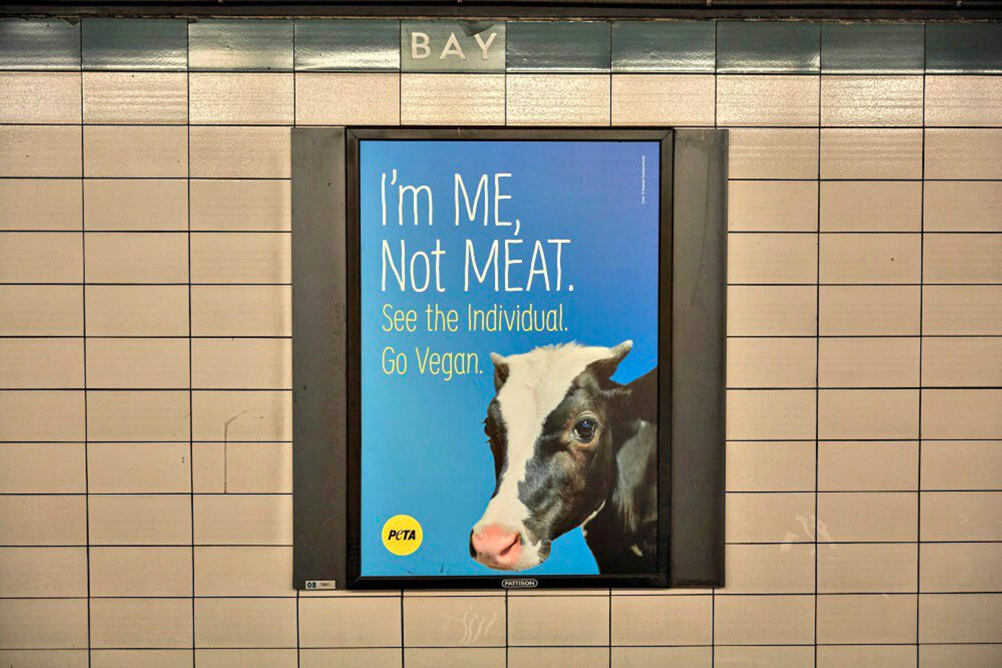  PETA  finally gets its vegan  ads in TTC subway stations