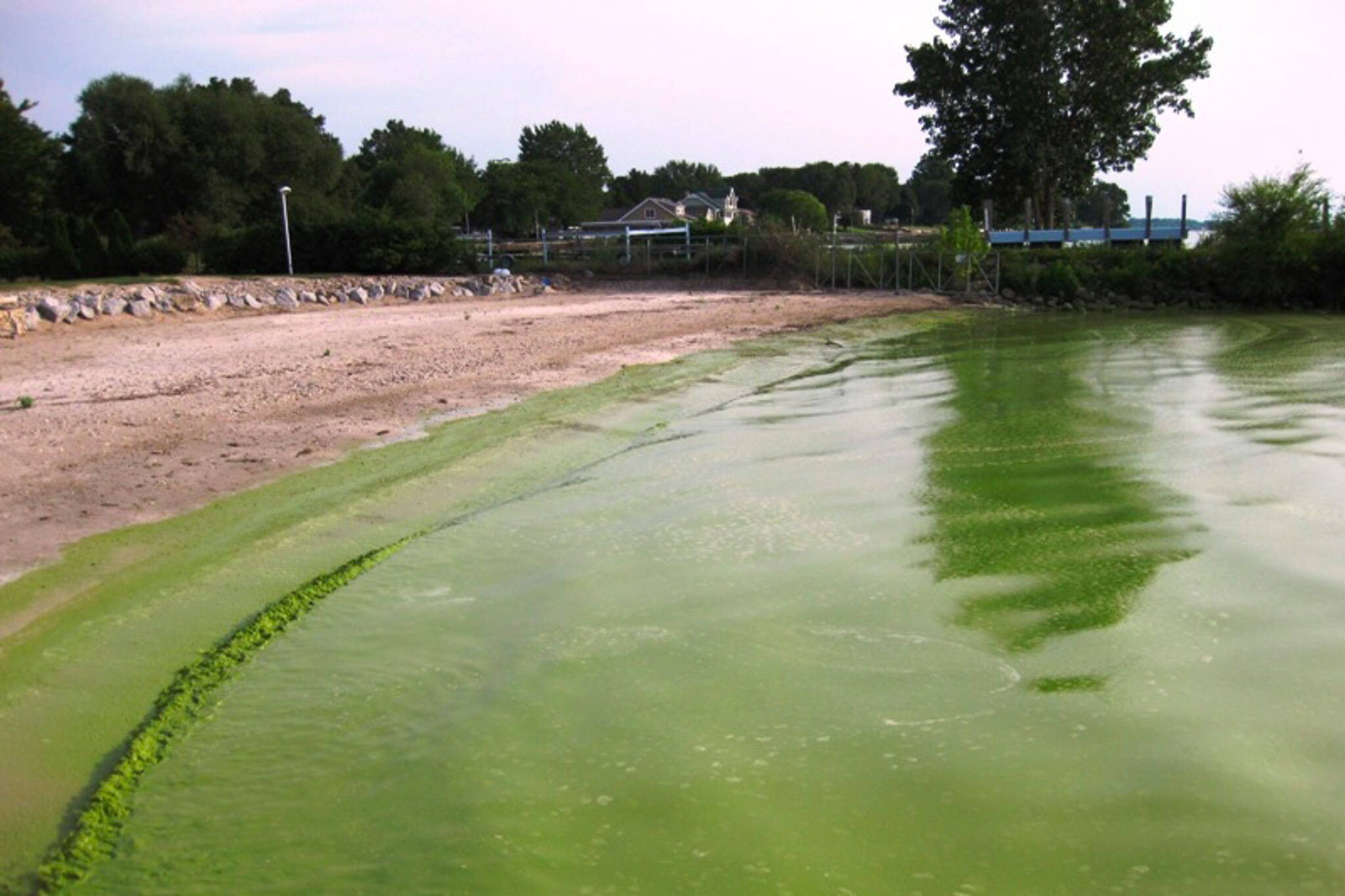 algae smell toronto