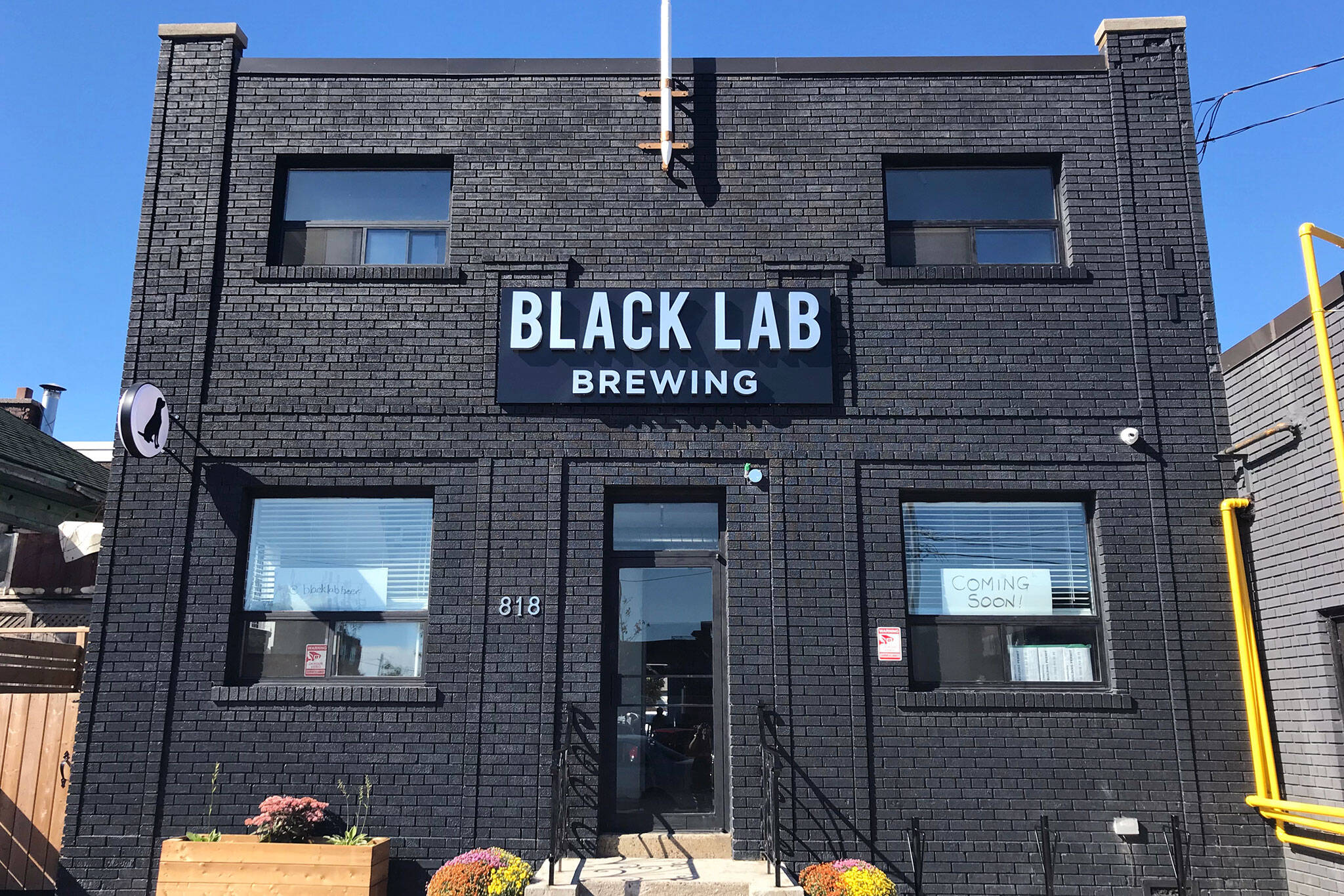 Black lab酿造多伦多