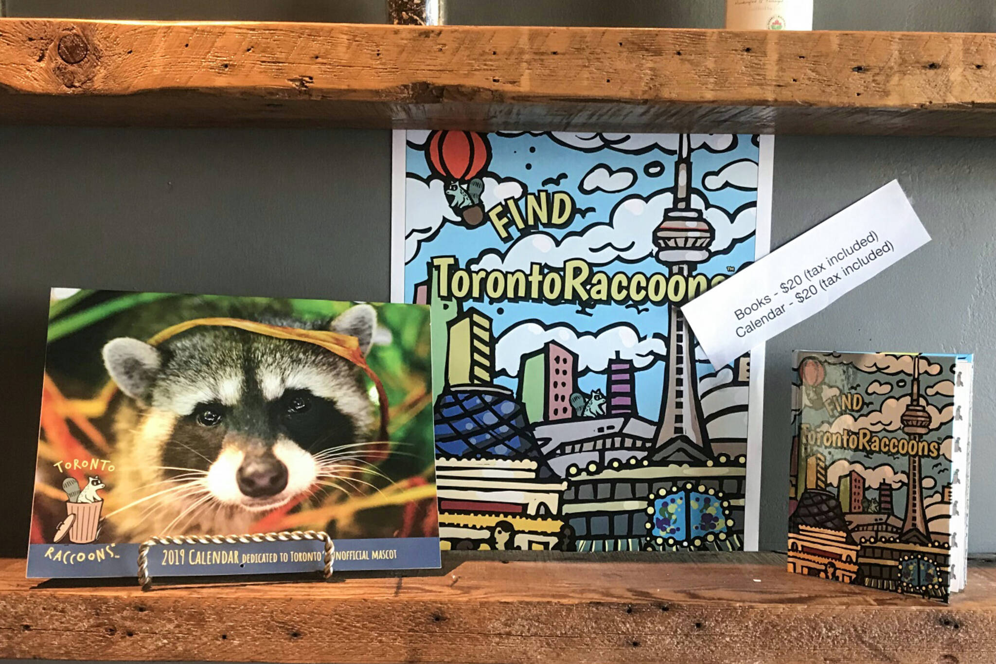 Toronto Raccoons book