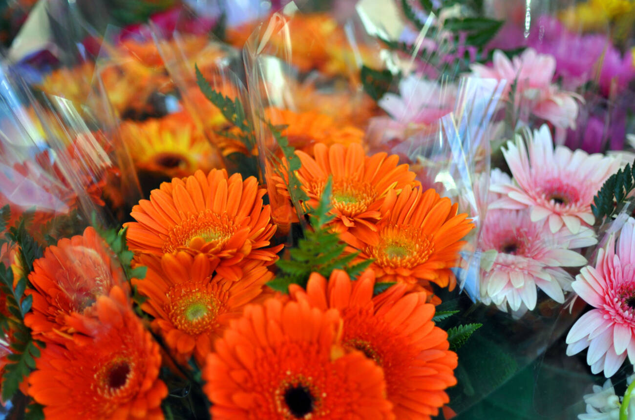 The Best Florists in Toronto