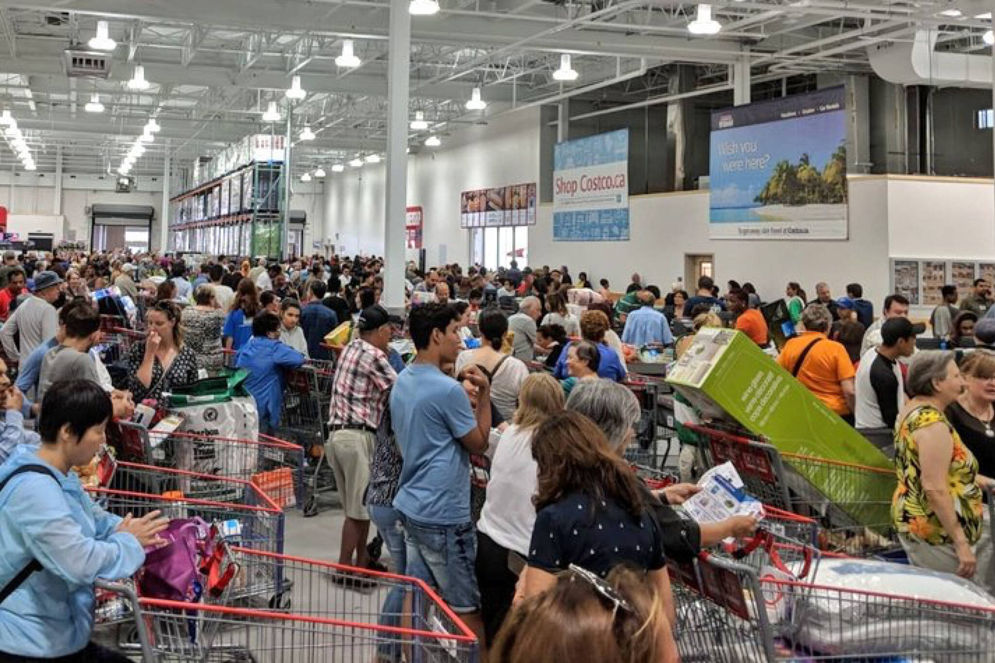 Huge crowds show up for opening of Toronto's newest Costco
