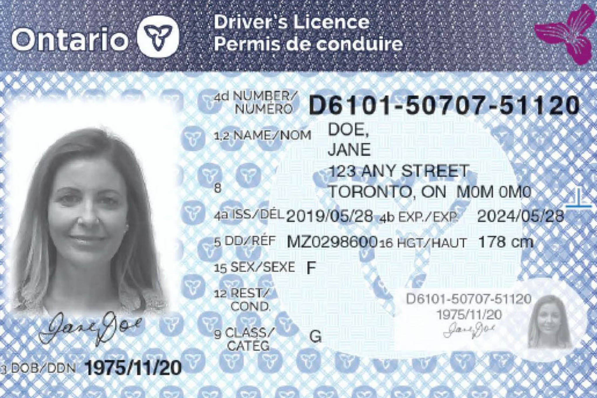 new licences ontario