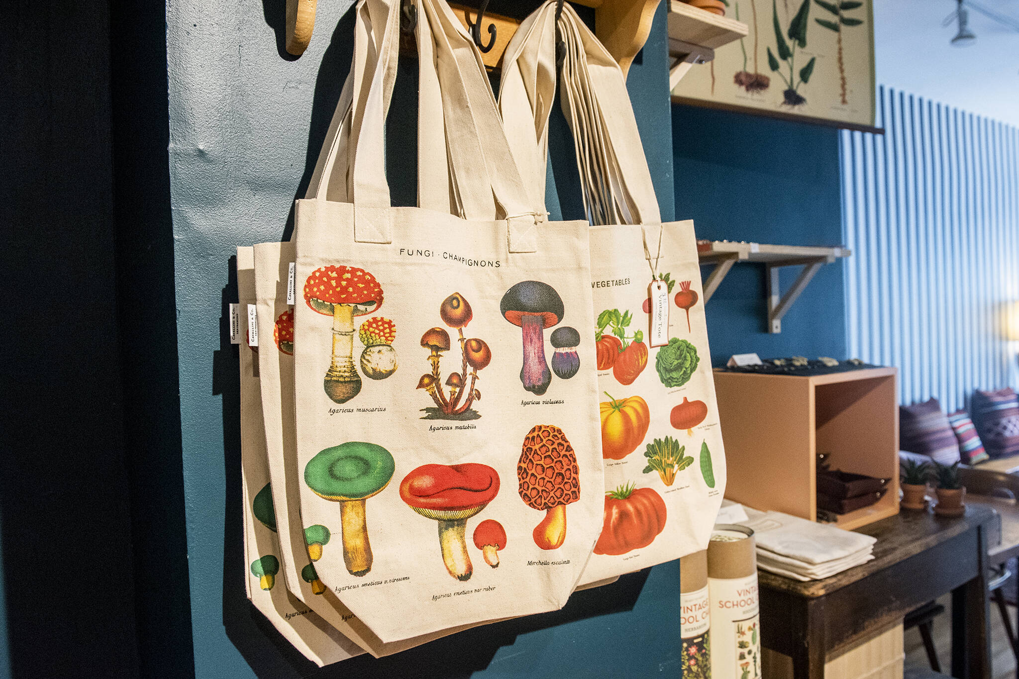 10 places in Toronto to get fun tote bags for your grocery shops