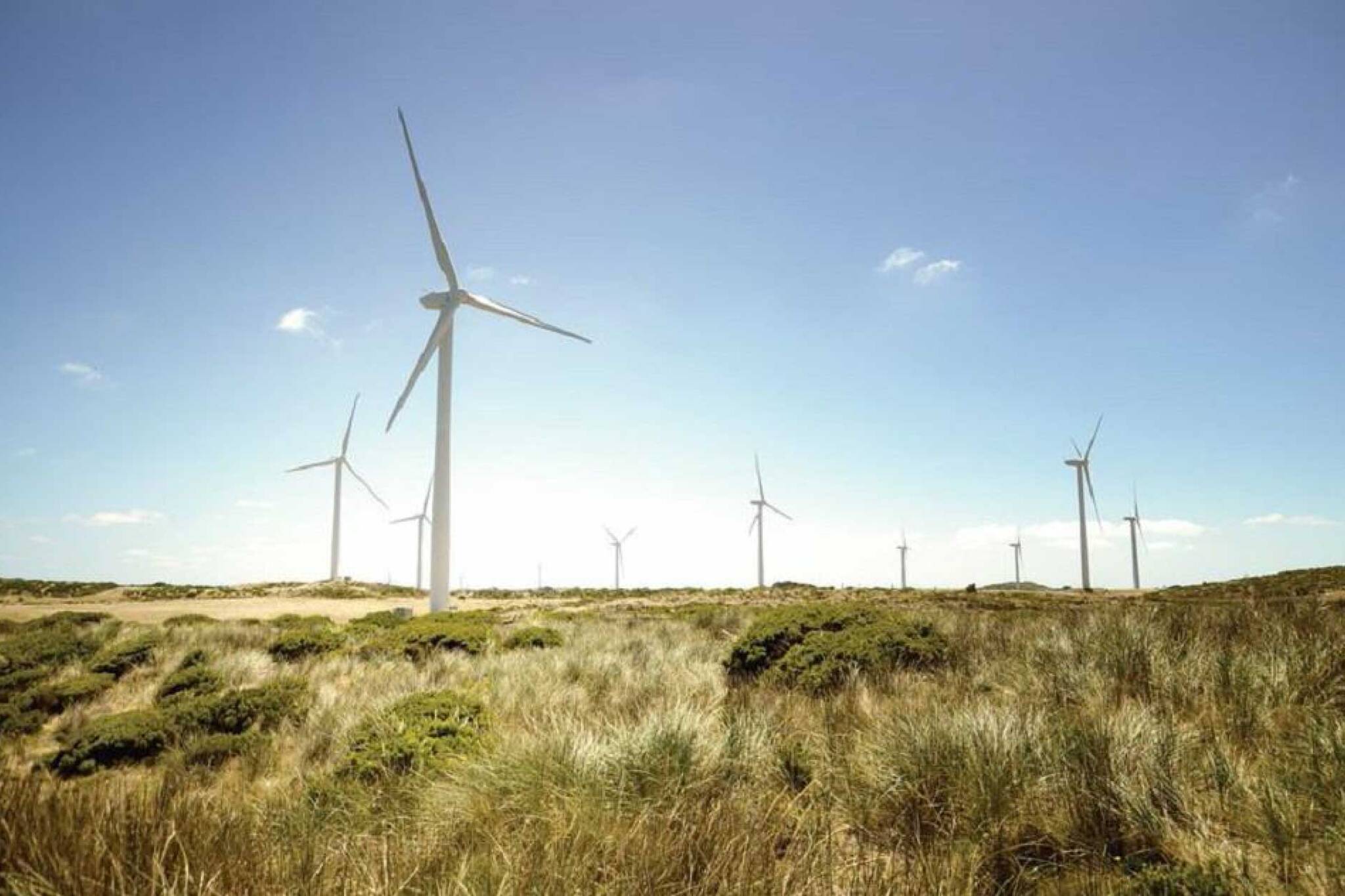 nation rise wind farm