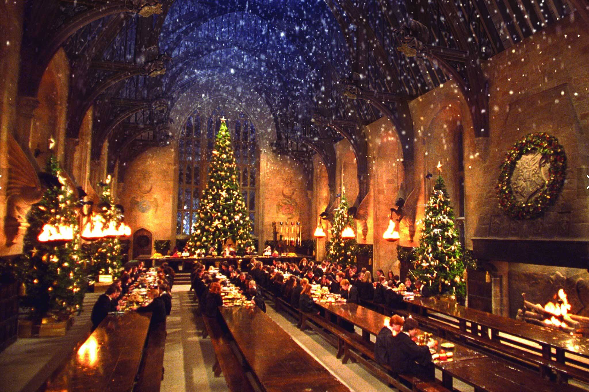 A magical Harry Potterthemed festival is coming to Toronto this winter