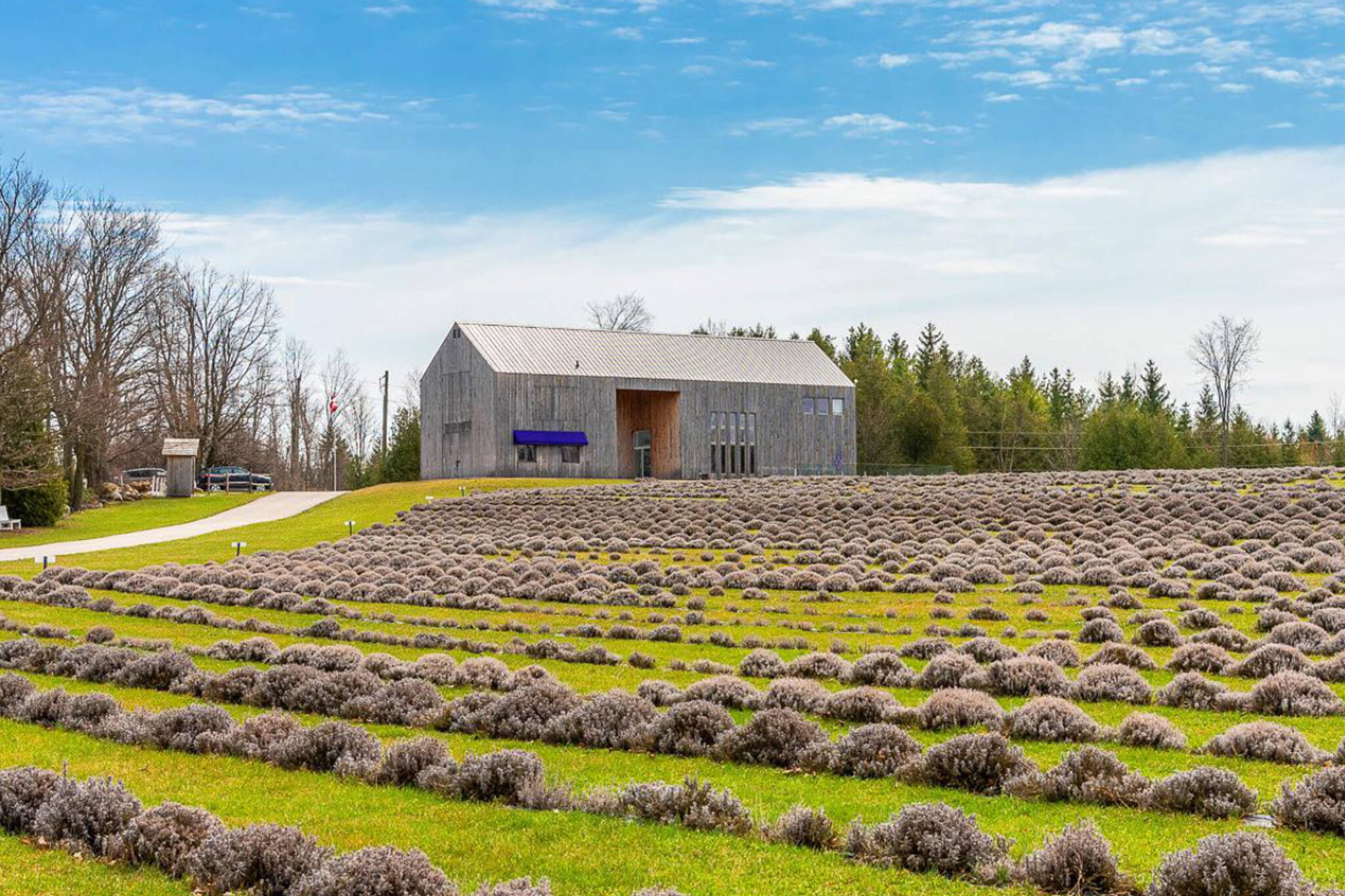terre bleu lavender farm