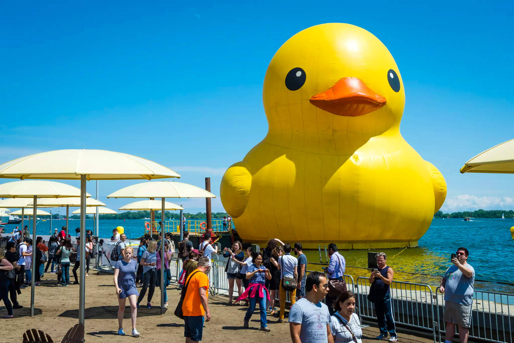 The world's largest rubber duck is coming back to Toronto