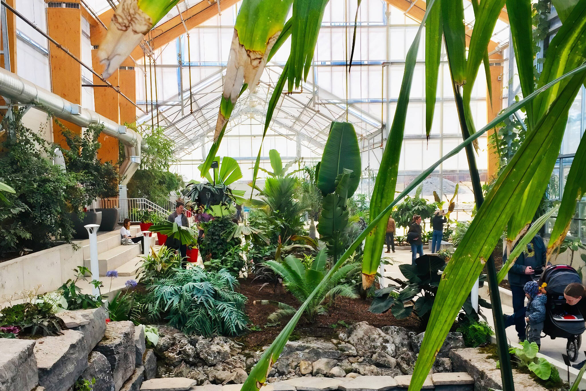 gage park greenhouse