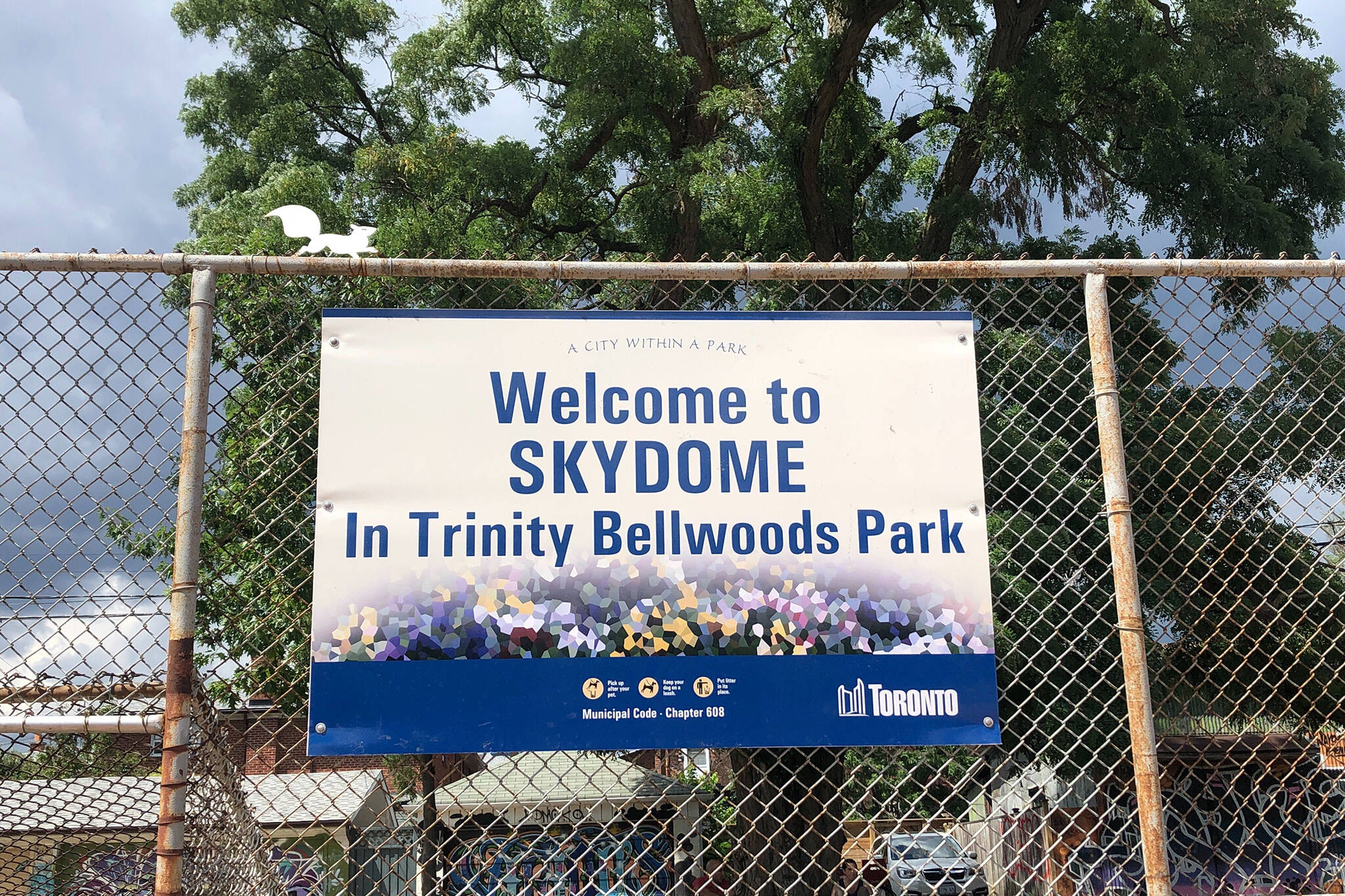 trinity bellwoods skydome