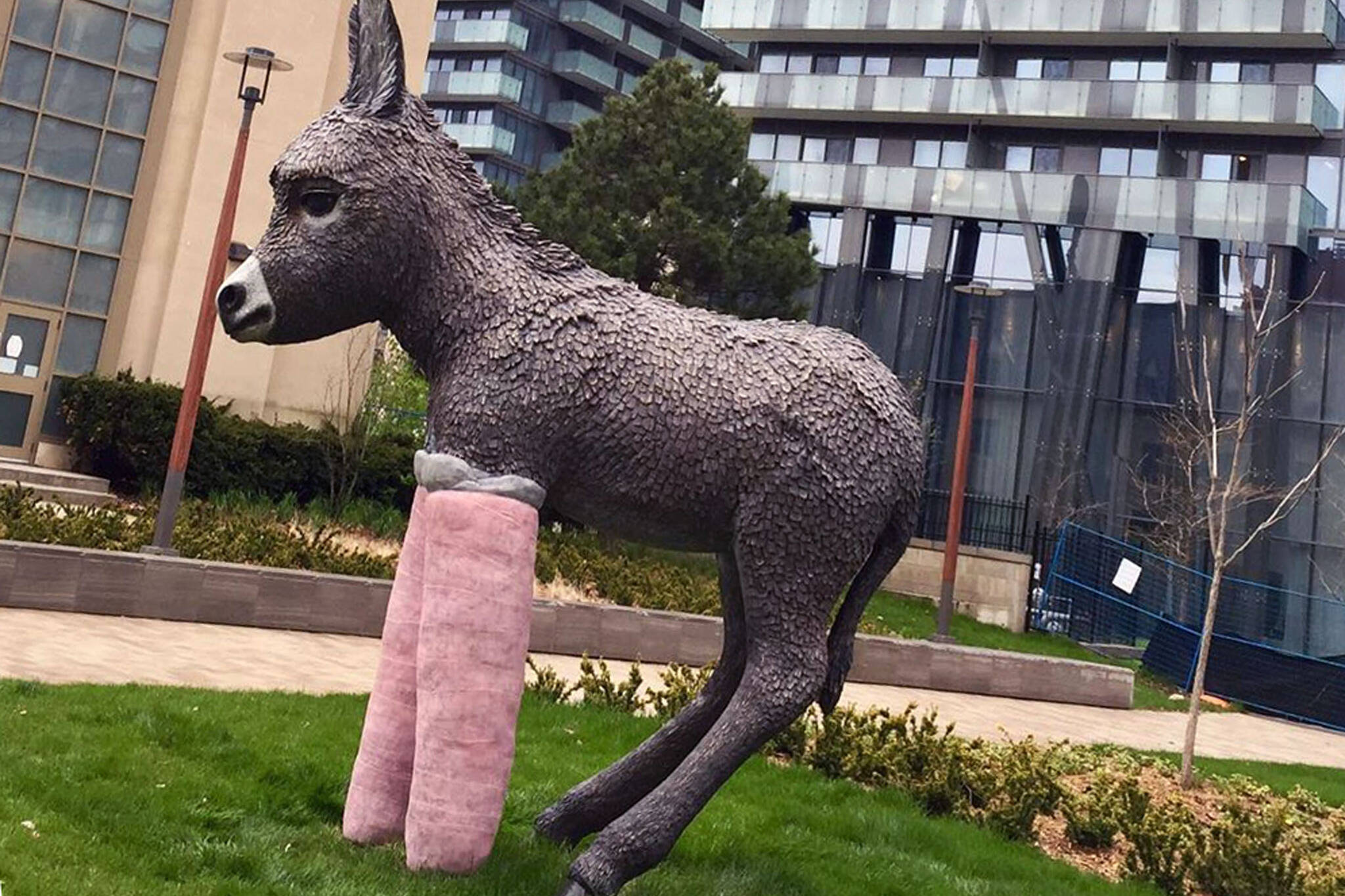 donkey statue toronto