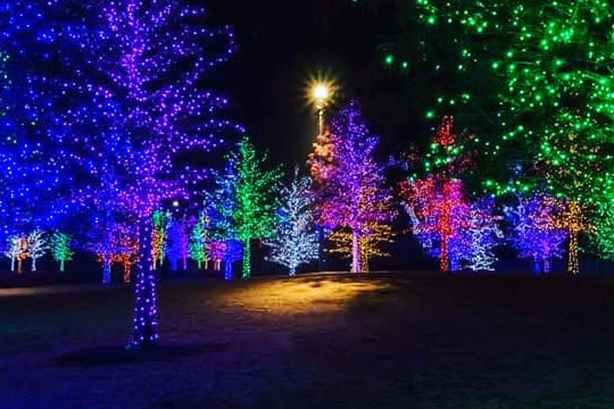 A magical drive-thru Christmas lights festival is opening ...