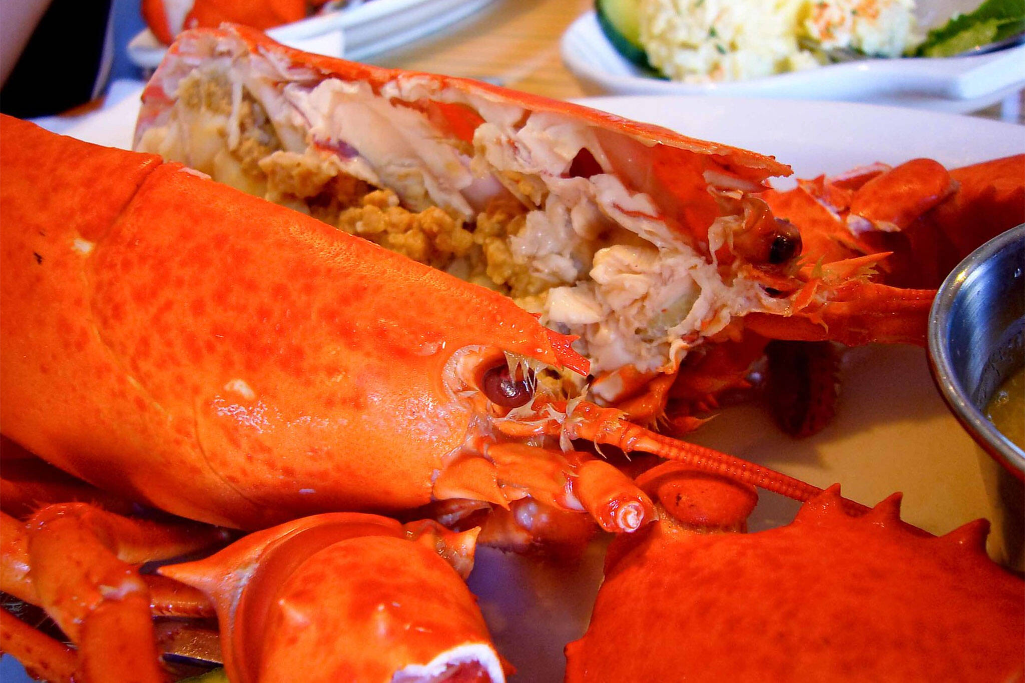 lobster dispute nova scotia