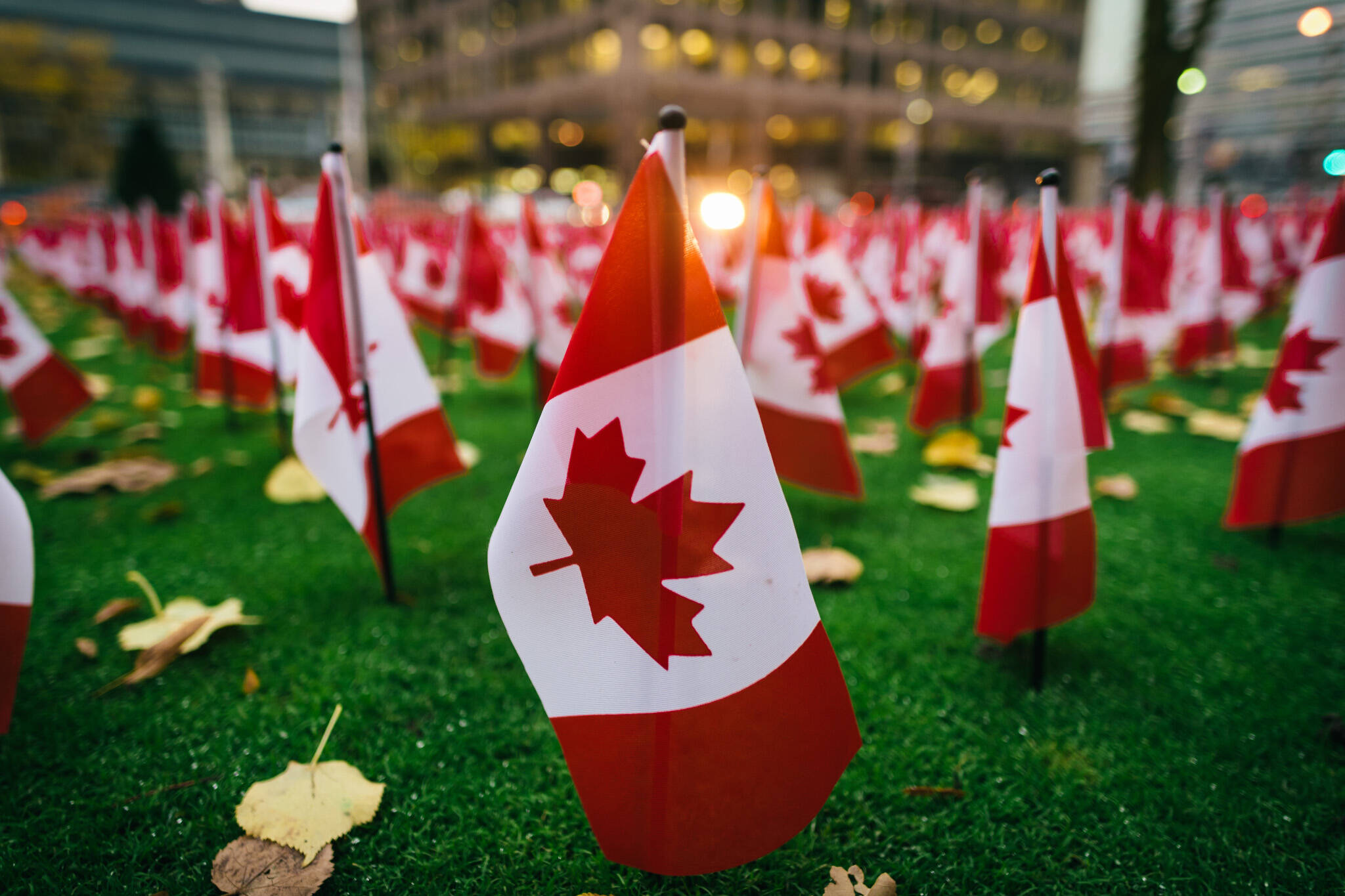 Remembrance Day Toronto