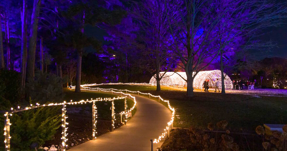 Enchanted winter wonderland with 1.5 km of lights opens near Toronto