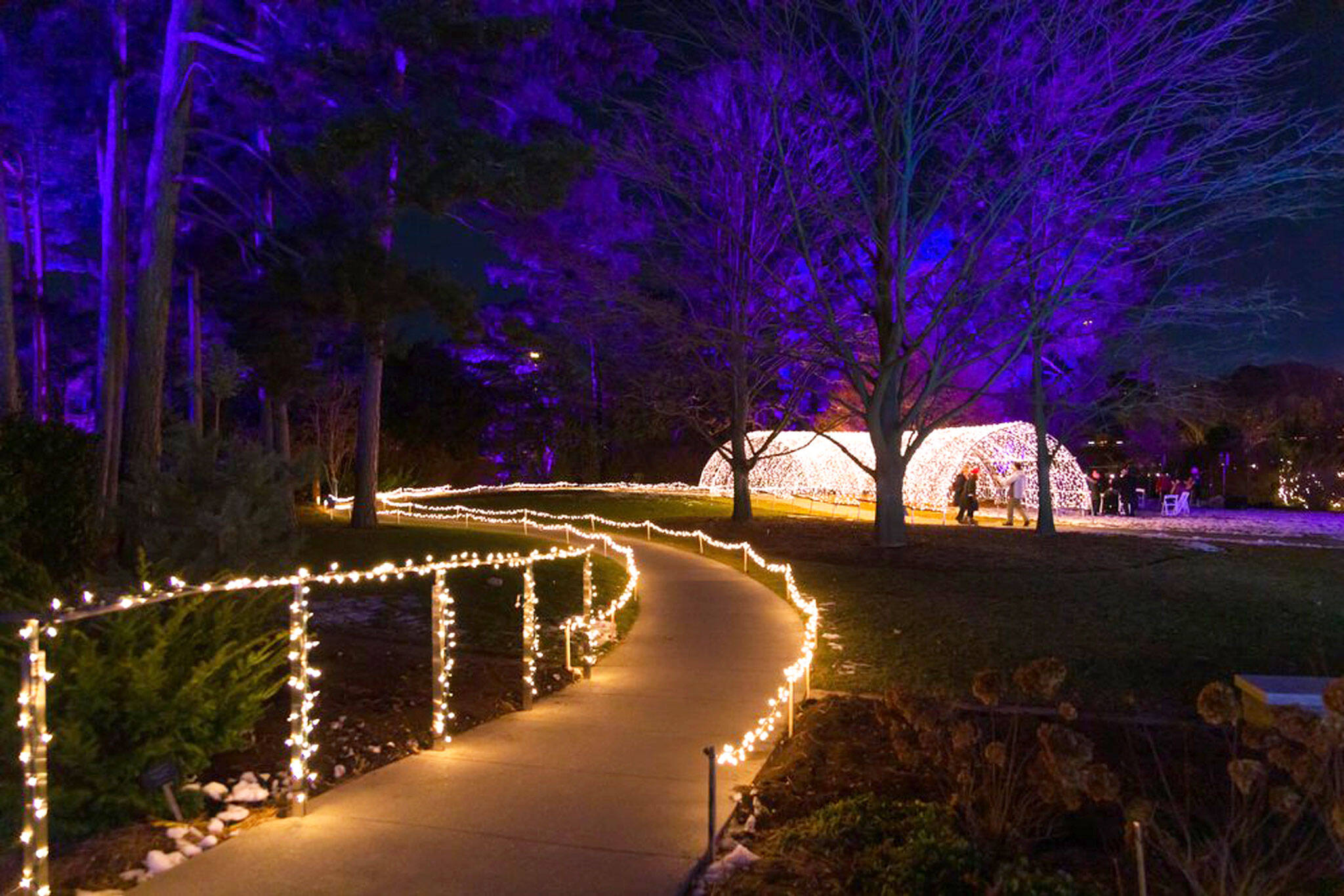 Enchanted winter wonderland with 1.5 km of lights opening near Toronto