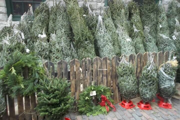 New Christmas Tree Market near Toronto comes with home delivery and a drive-thru