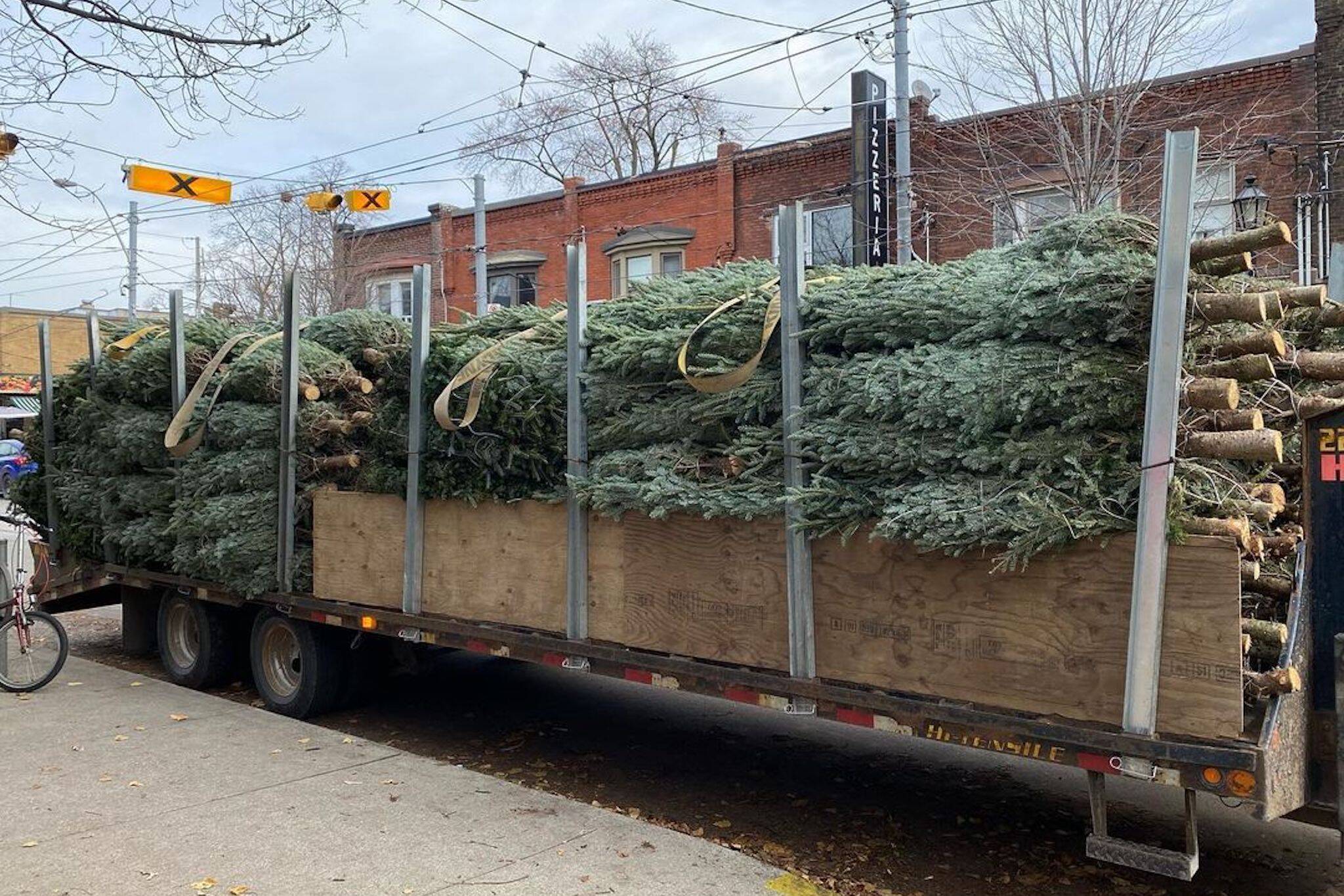christmas tree delivery toronto