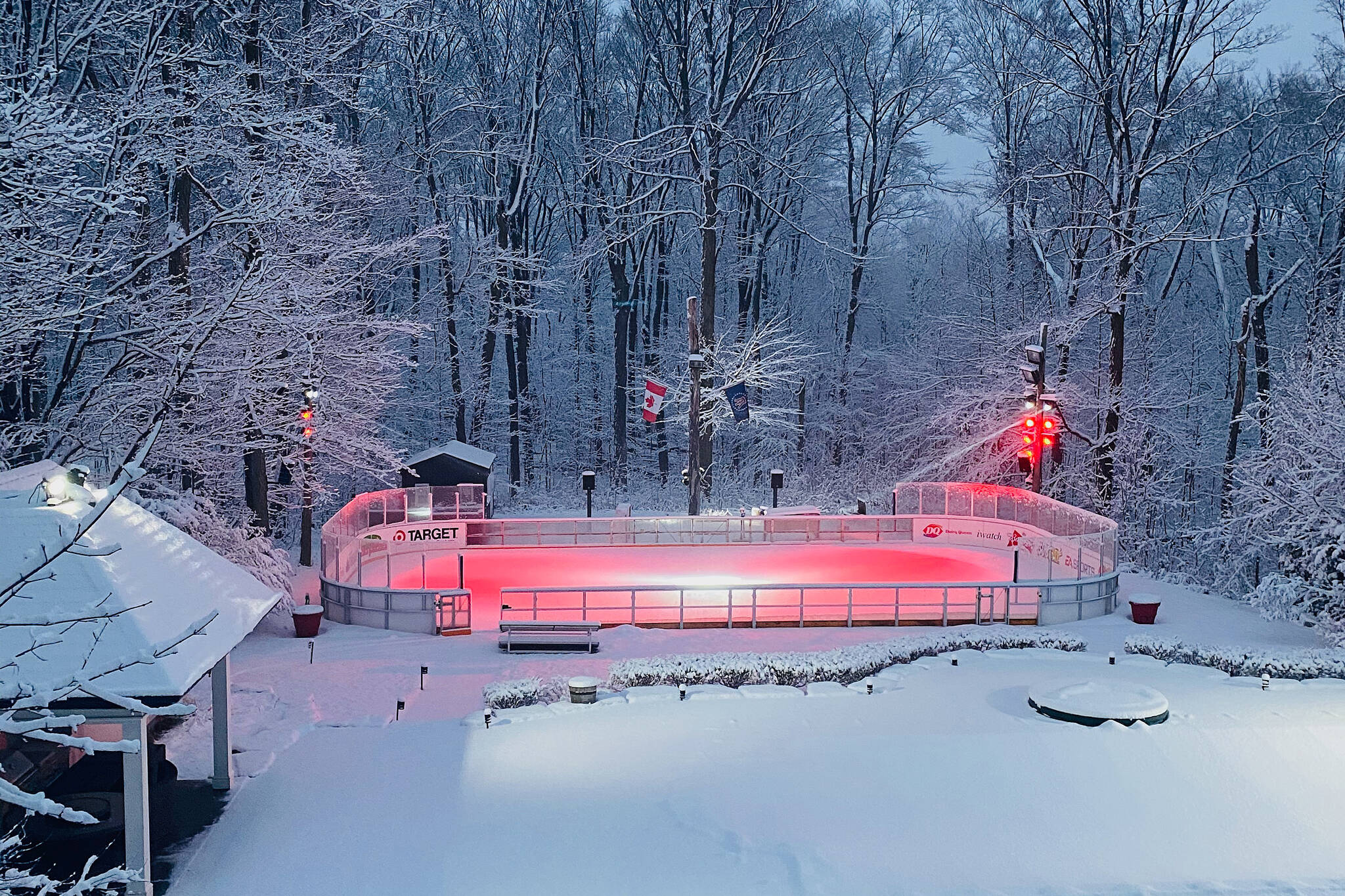 This might be the most overthetop backyard skating rink in Toronto
