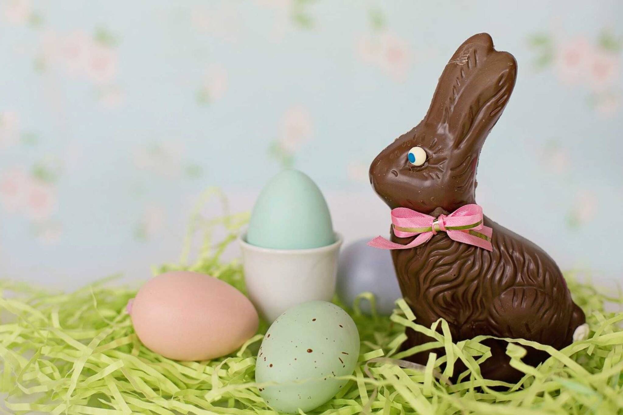 Символы католической пасхи. Шоколадный заяц (Chocolate Bunny). Шоколадный Пасхальный кролик. Шоколад на Пасху. Шоколадные яйца на Пасху.