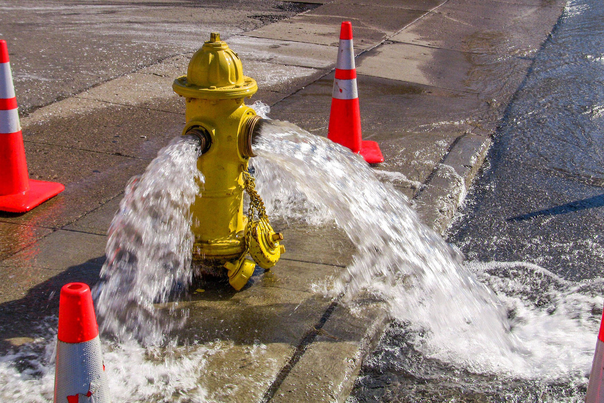 311 fire hydrant toronto