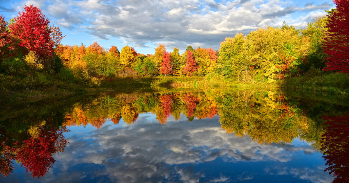 Fall colours are starting to appear in Ontario and here's where to find