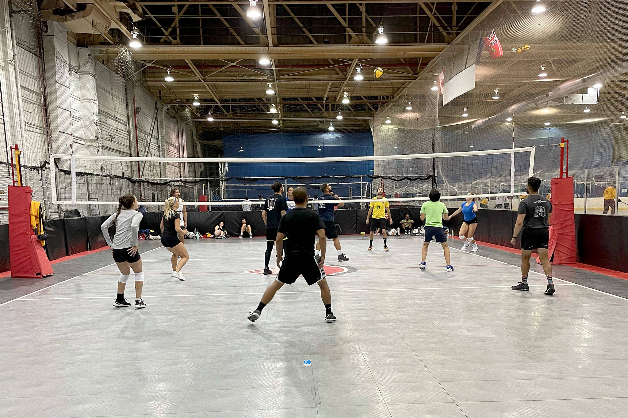 toronto volleyball