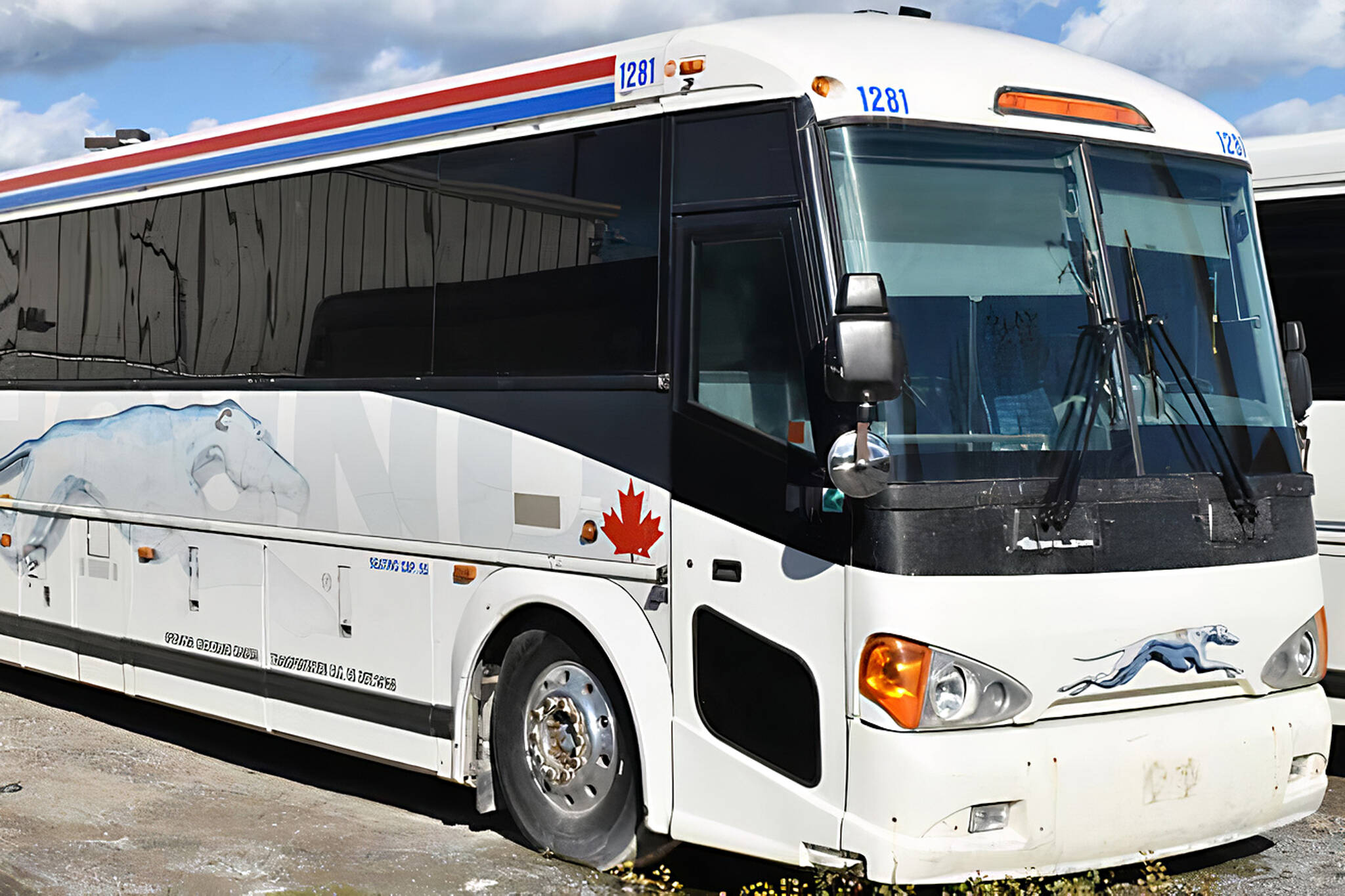 You can buy a Greyhound Canada bus in an upcoming Toronto auction