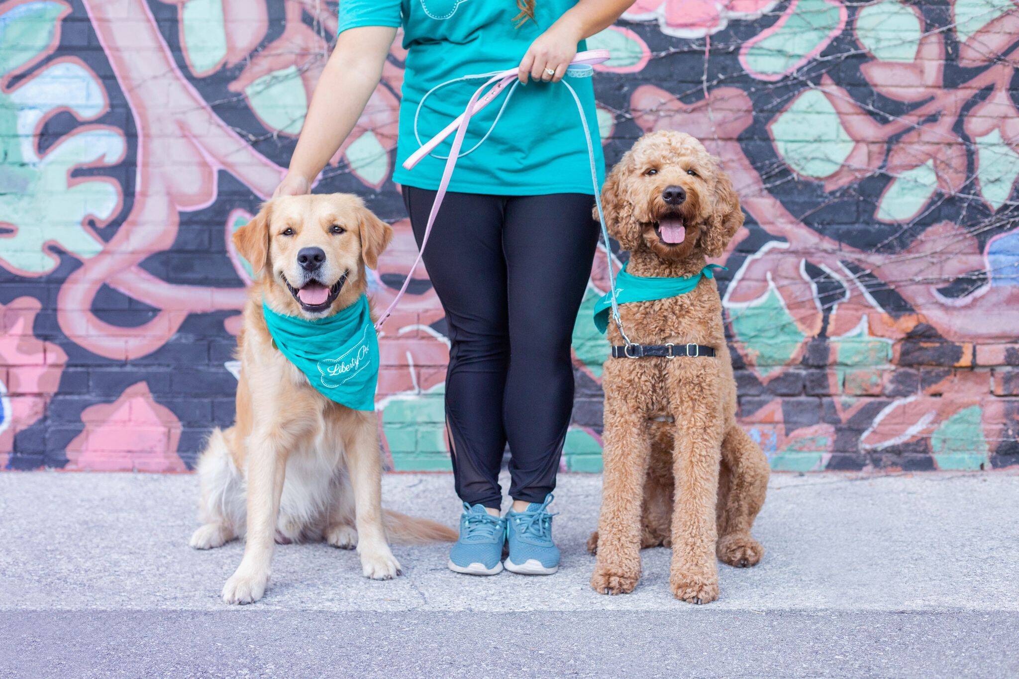 Owner of Toronto dog walking company harassed for helping pets of ...